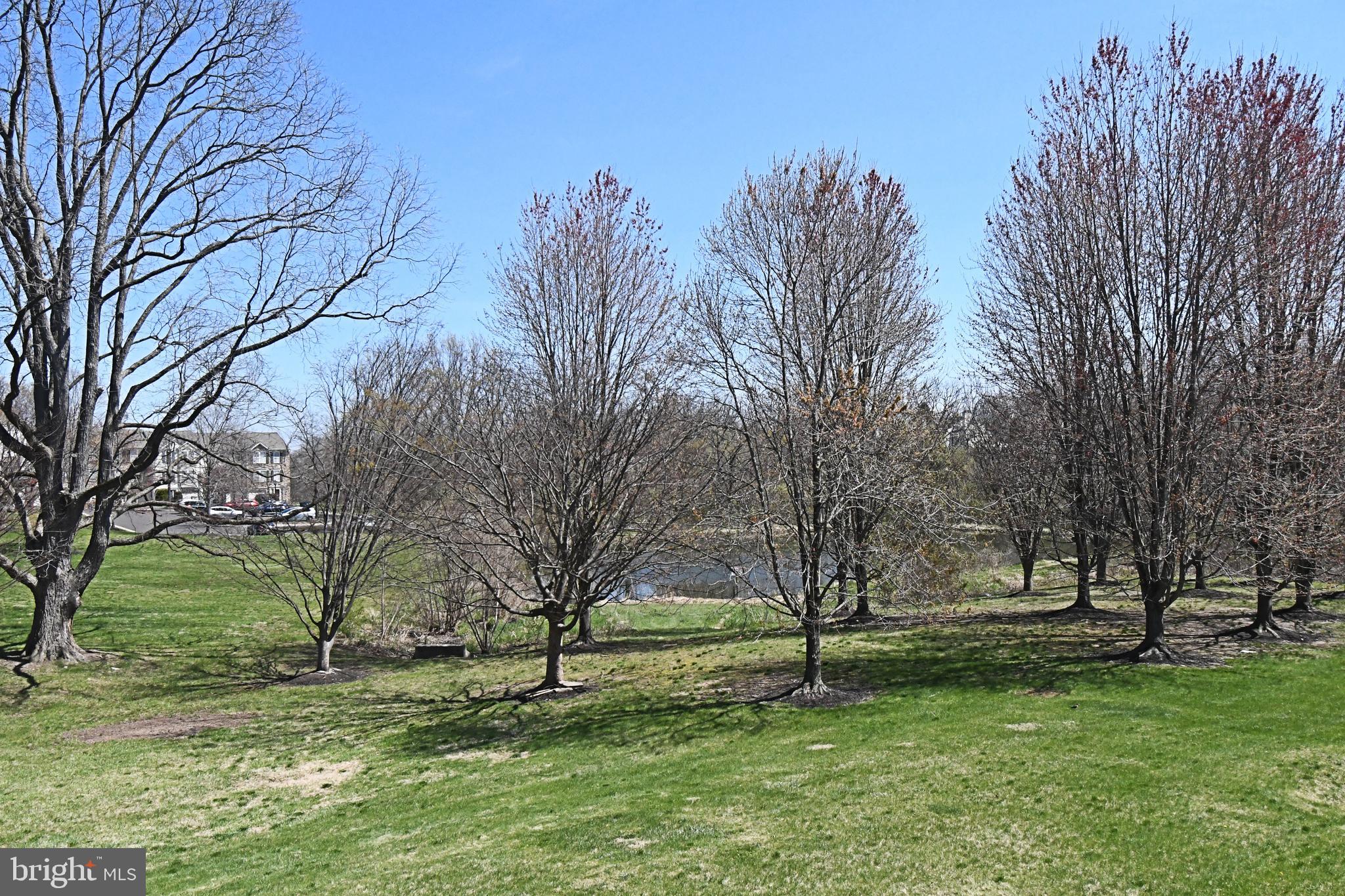 TERRACE AT MONTGOM - Residential
