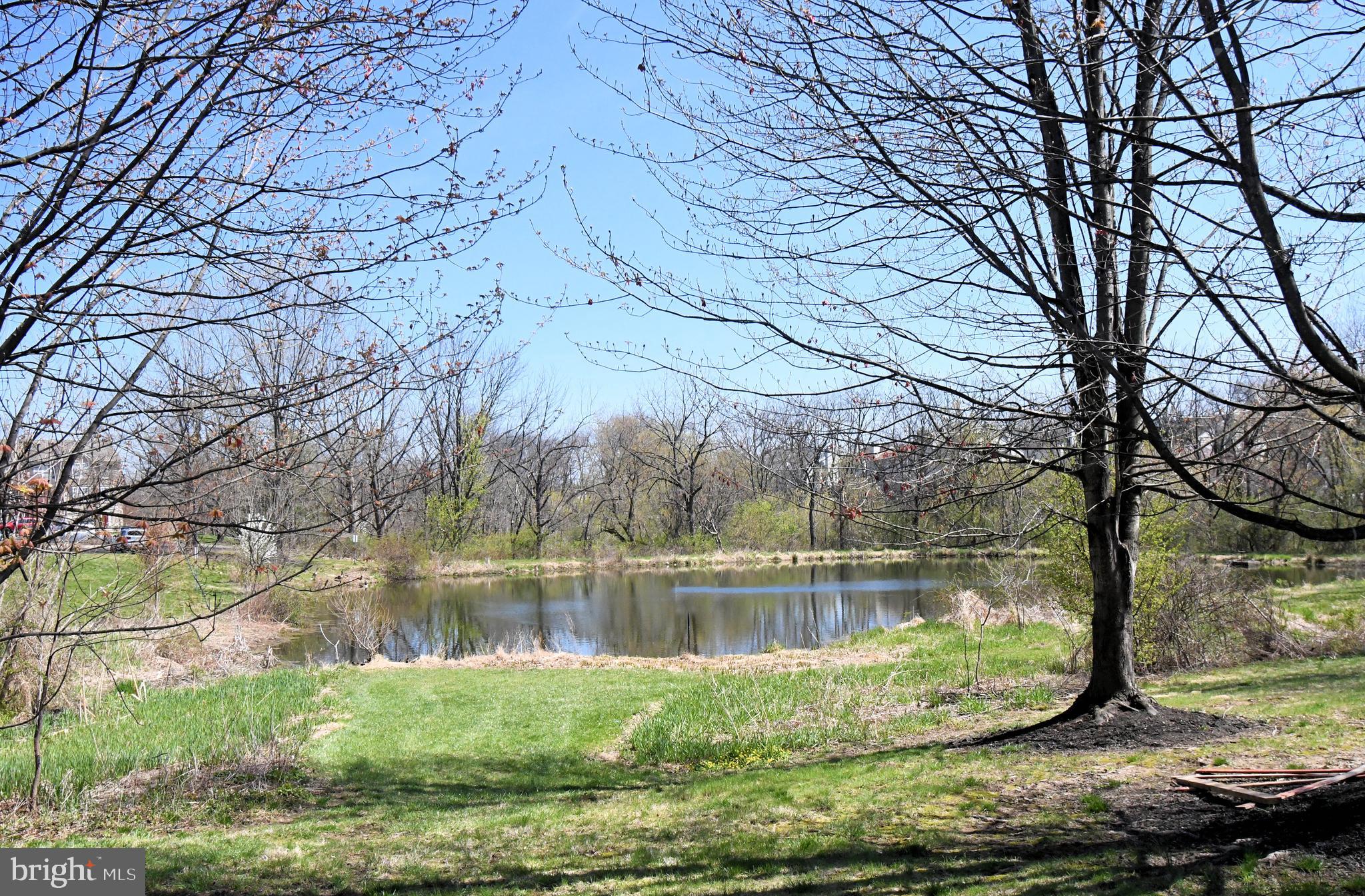 TERRACE AT MONTGOM - Residential