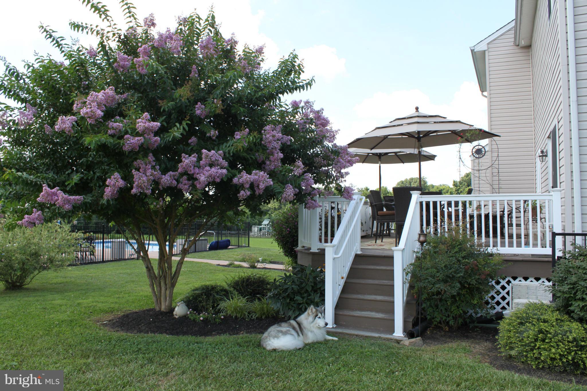 VILLAGES OF SUSQUEHANNA - Residential