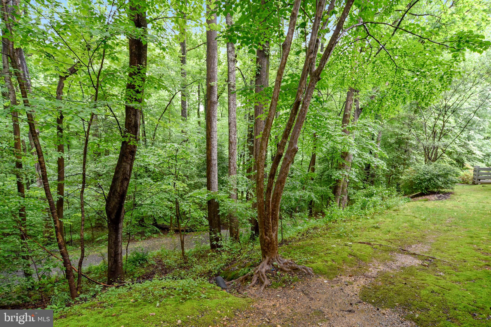 2241 LOVEDALE LANE B