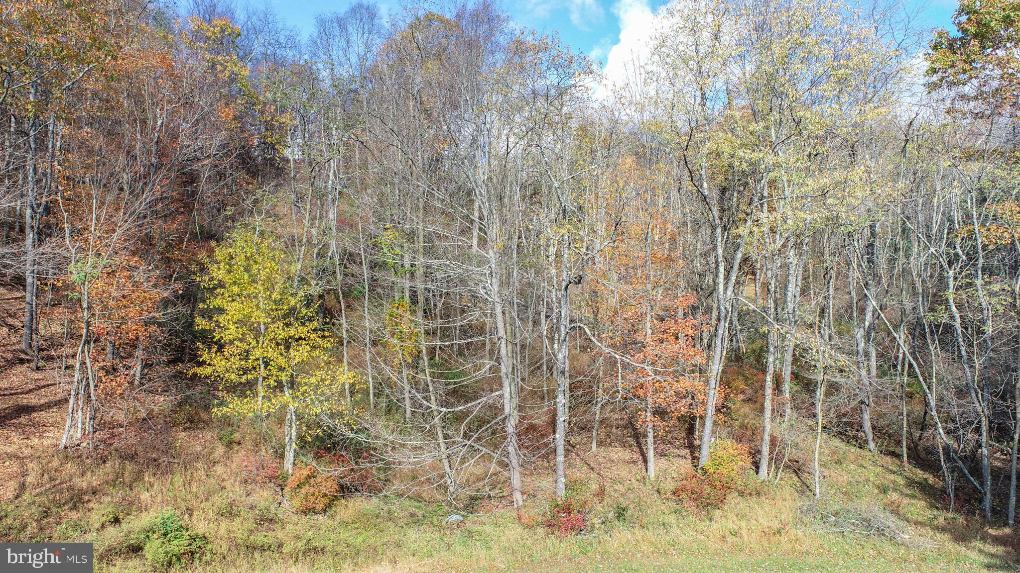 PARADISE RIDGE - Land