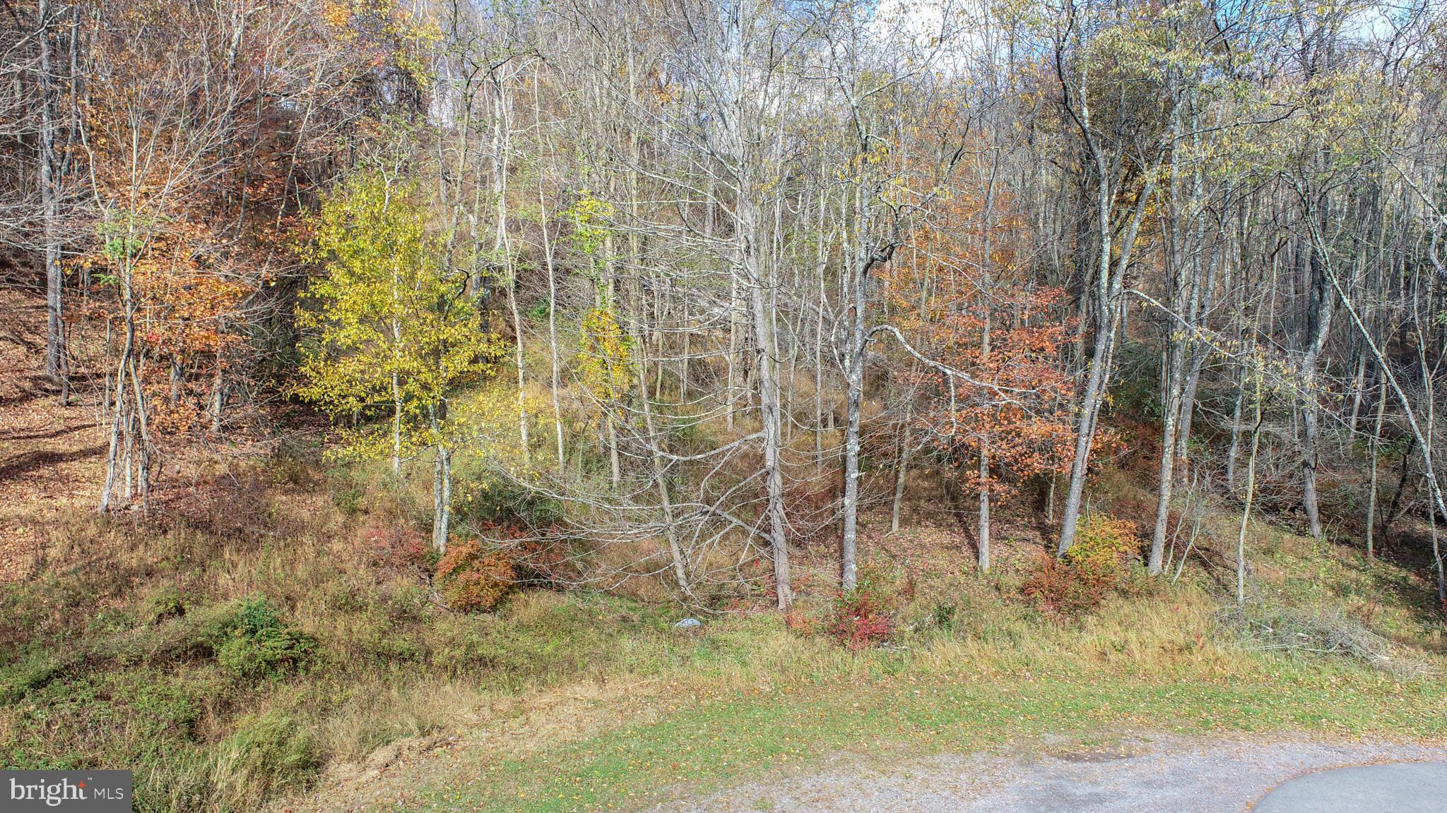 PARADISE RIDGE - Land