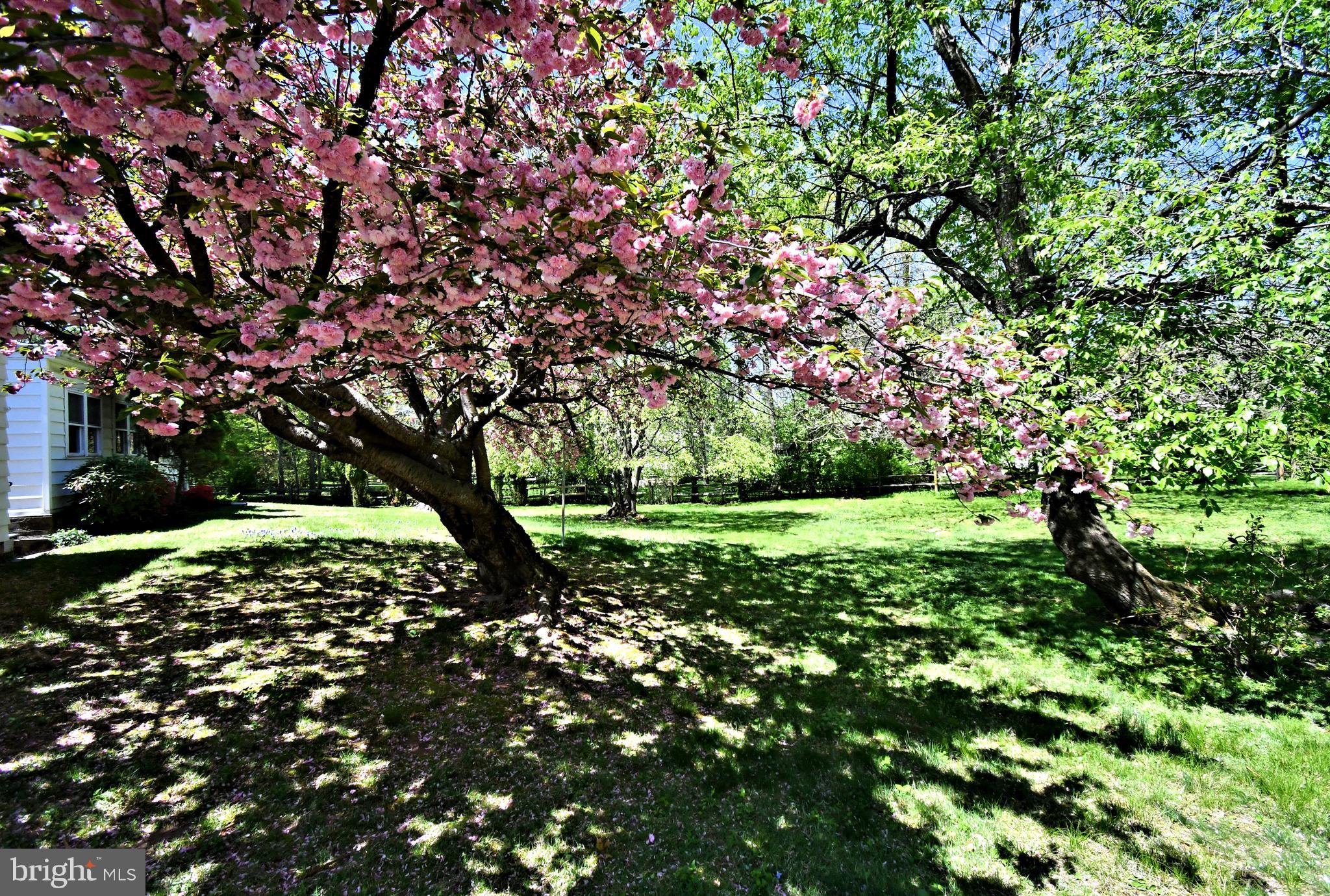 ELLIGER PARK - Residential