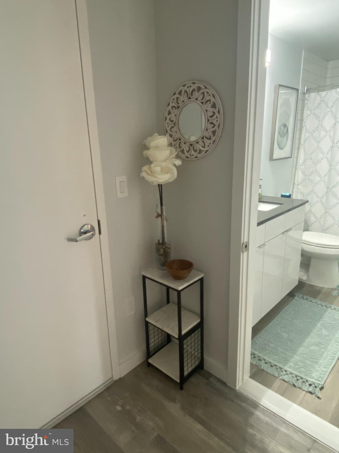 DOWNTOWN SILVER SPRING - Residential