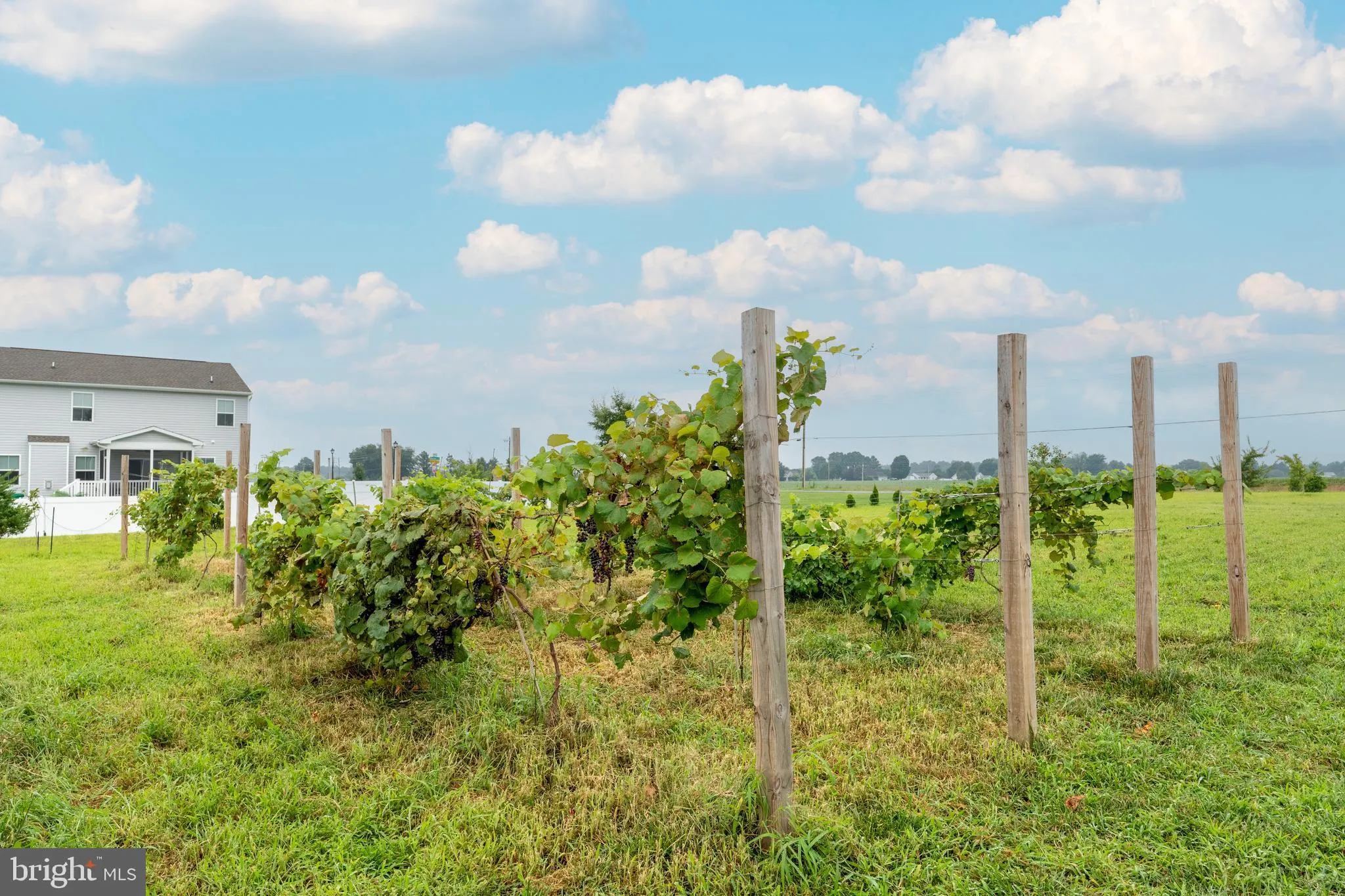 Felton, Delaware 19943, United States, 4 Bedrooms Bedrooms, ,4 BathroomsBathrooms,Residential,Active,187366