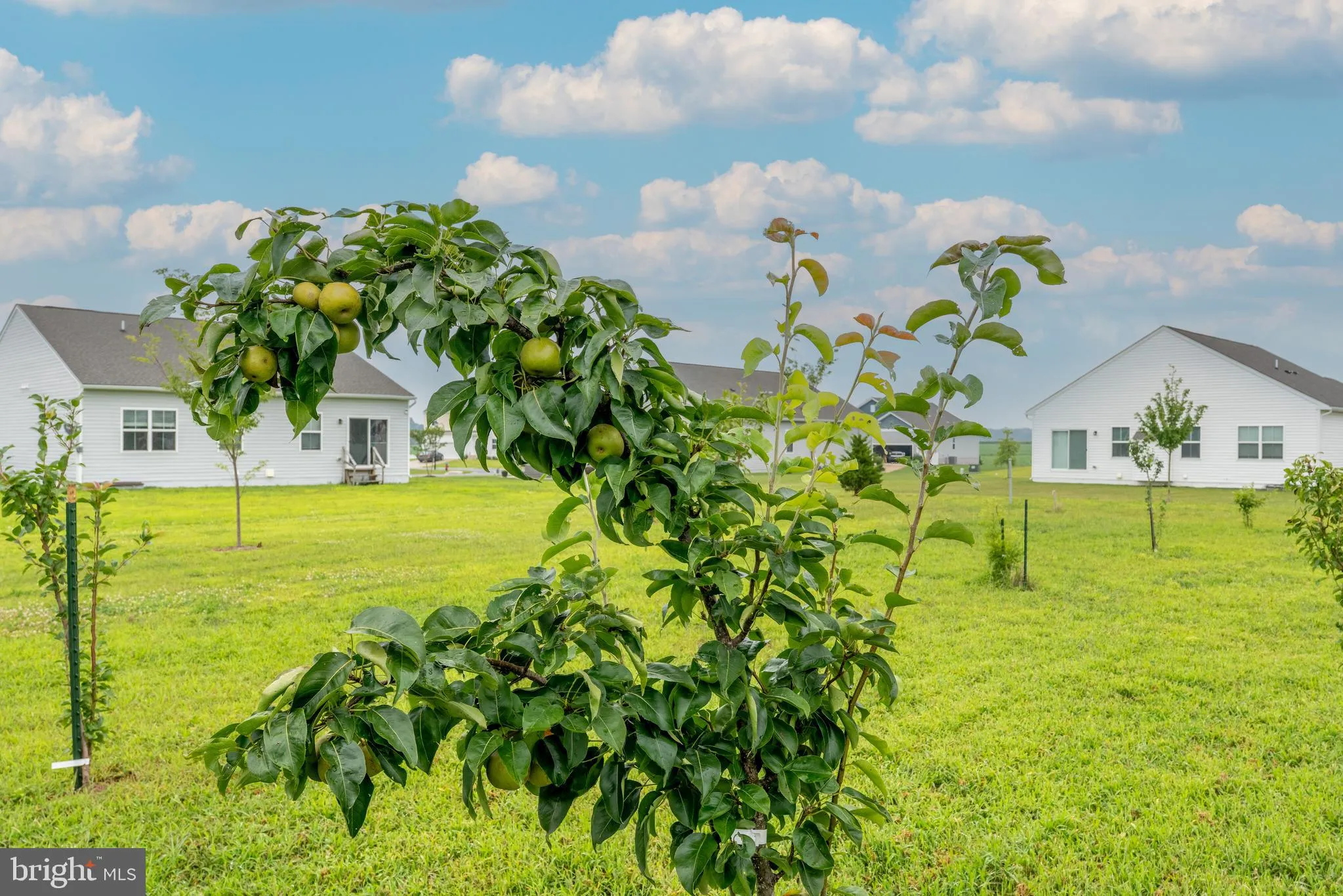 Felton, Delaware 19943, United States, 4 Bedrooms Bedrooms, ,4 BathroomsBathrooms,Residential,Active,187366