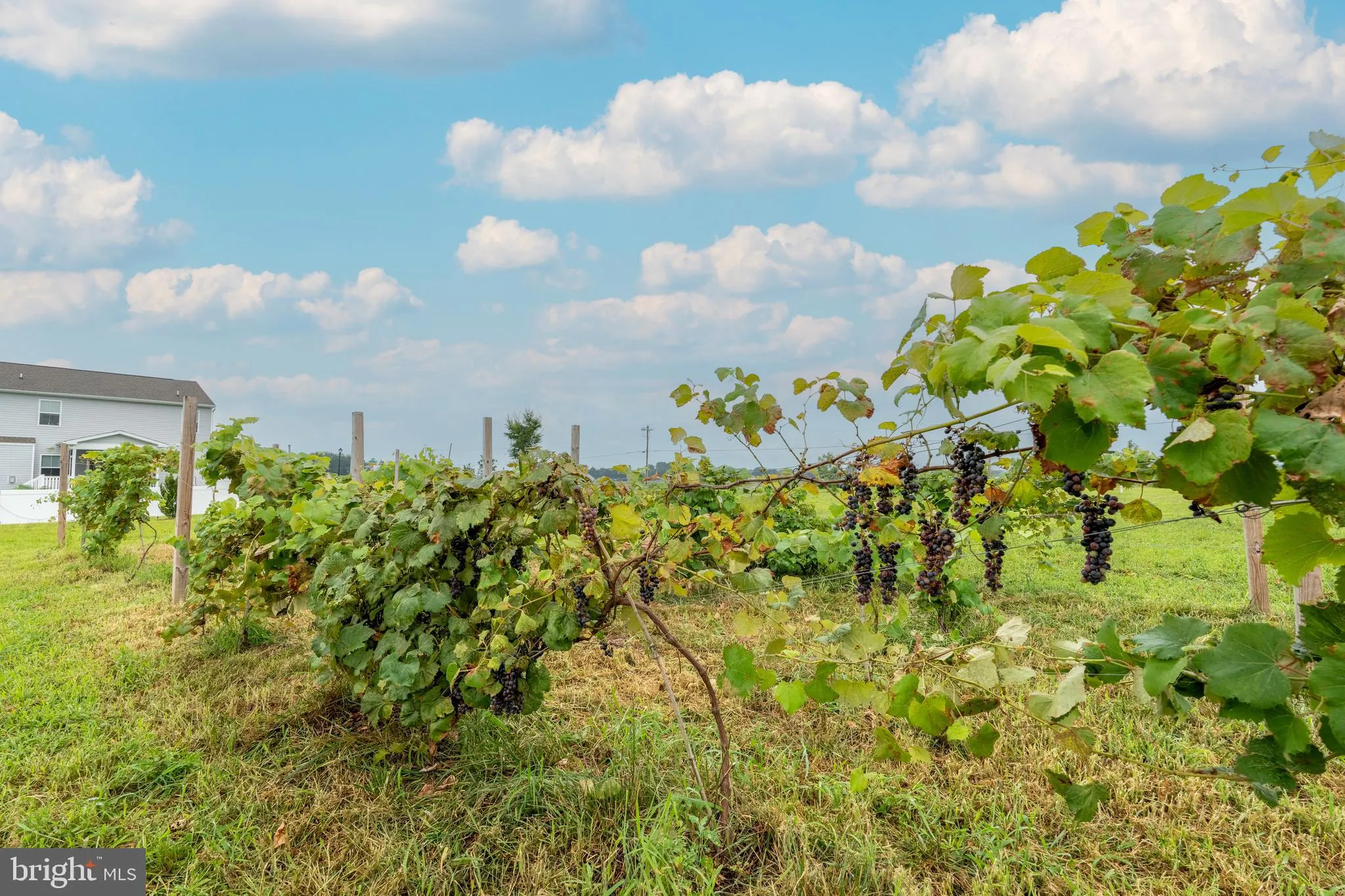 Felton, Delaware 19943, United States, 4 Bedrooms Bedrooms, ,4 BathroomsBathrooms,Residential,Active,187366