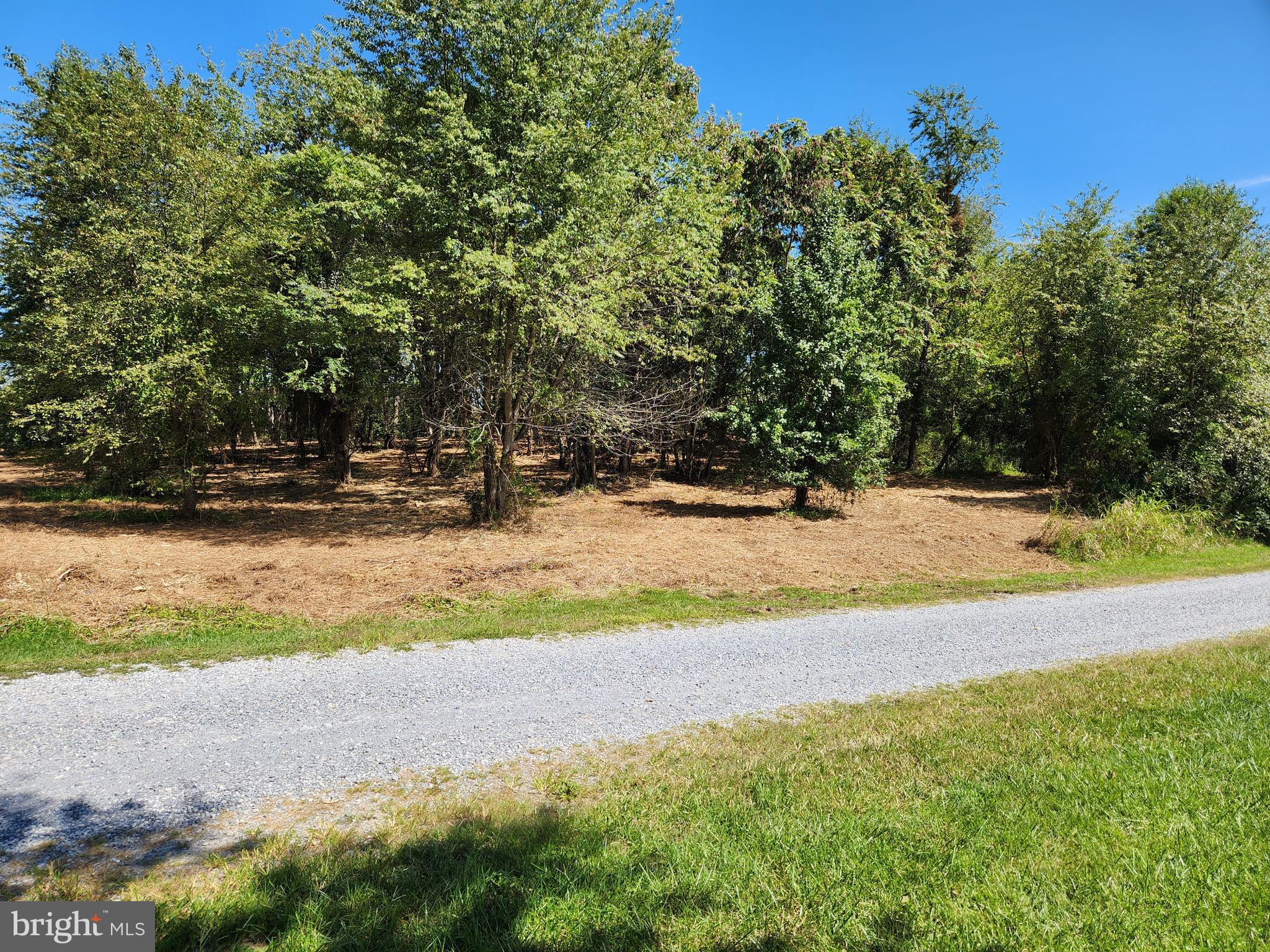 Lot 1 WESTWIND MINOR