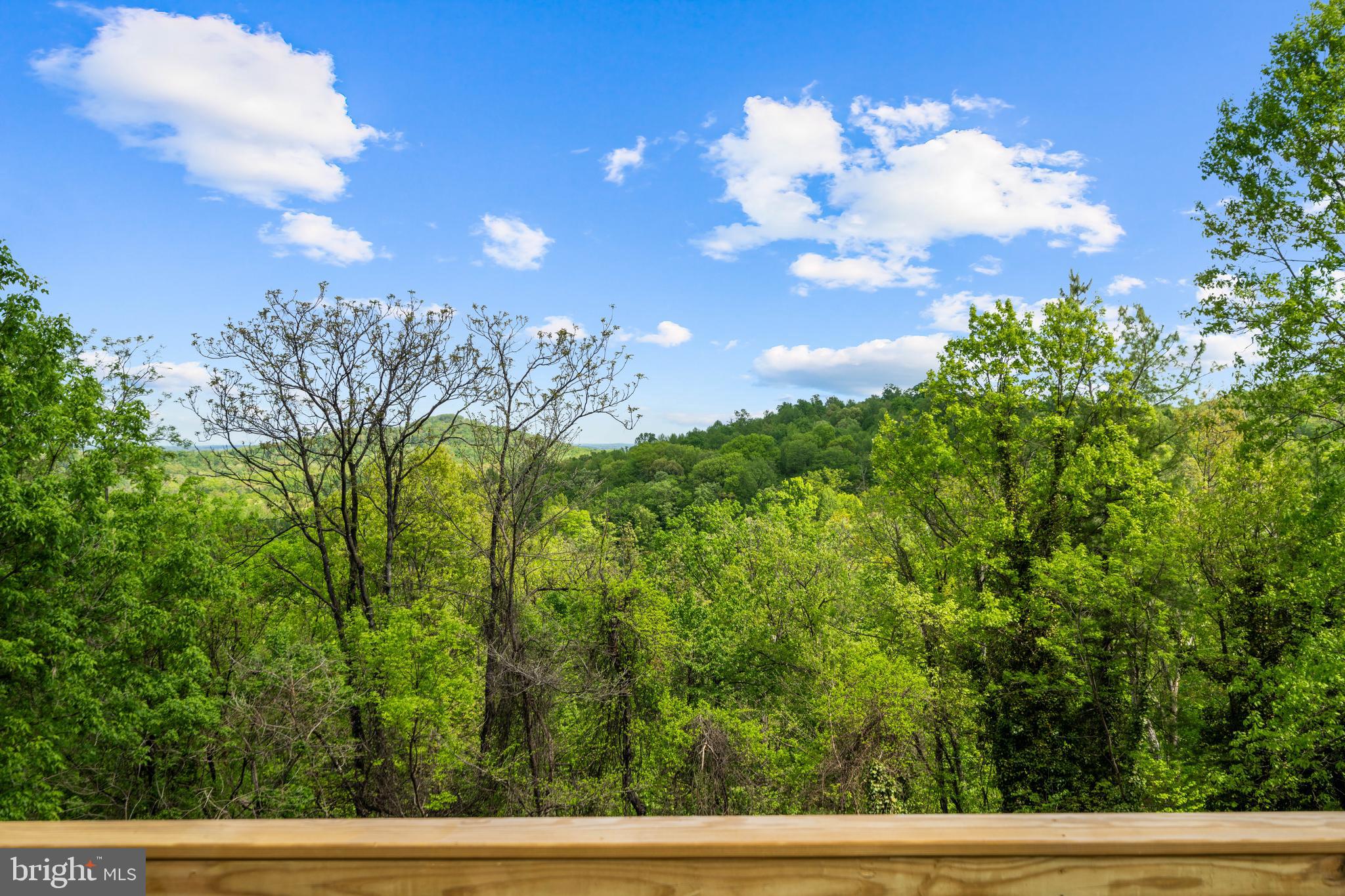 SHEN FARMS MT LAKE - Residential