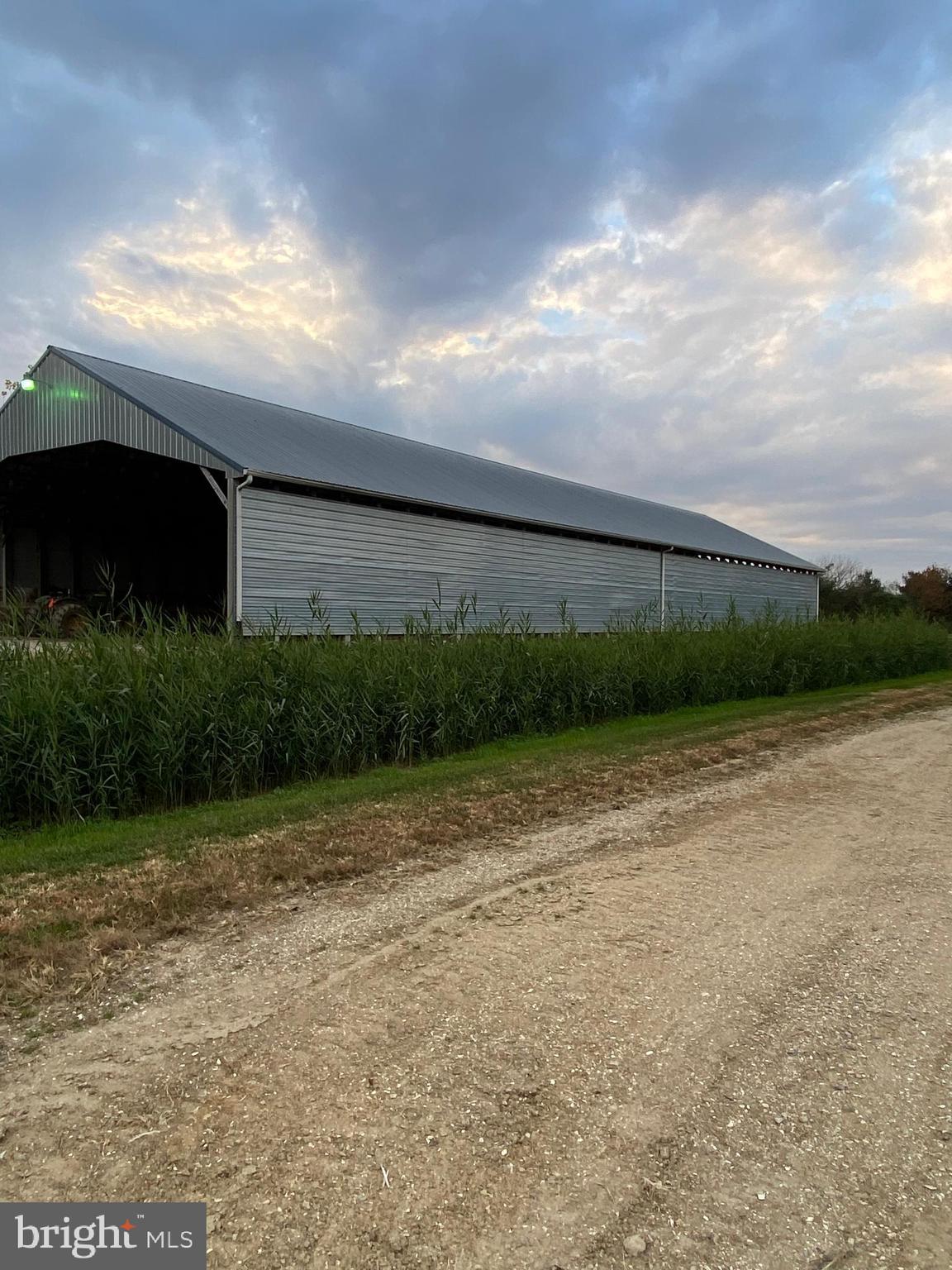 NONE AVAILABLE - Farm