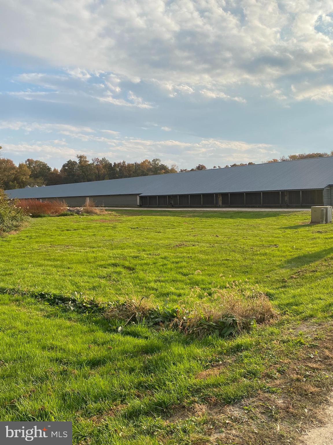 NONE AVAILABLE - Farm