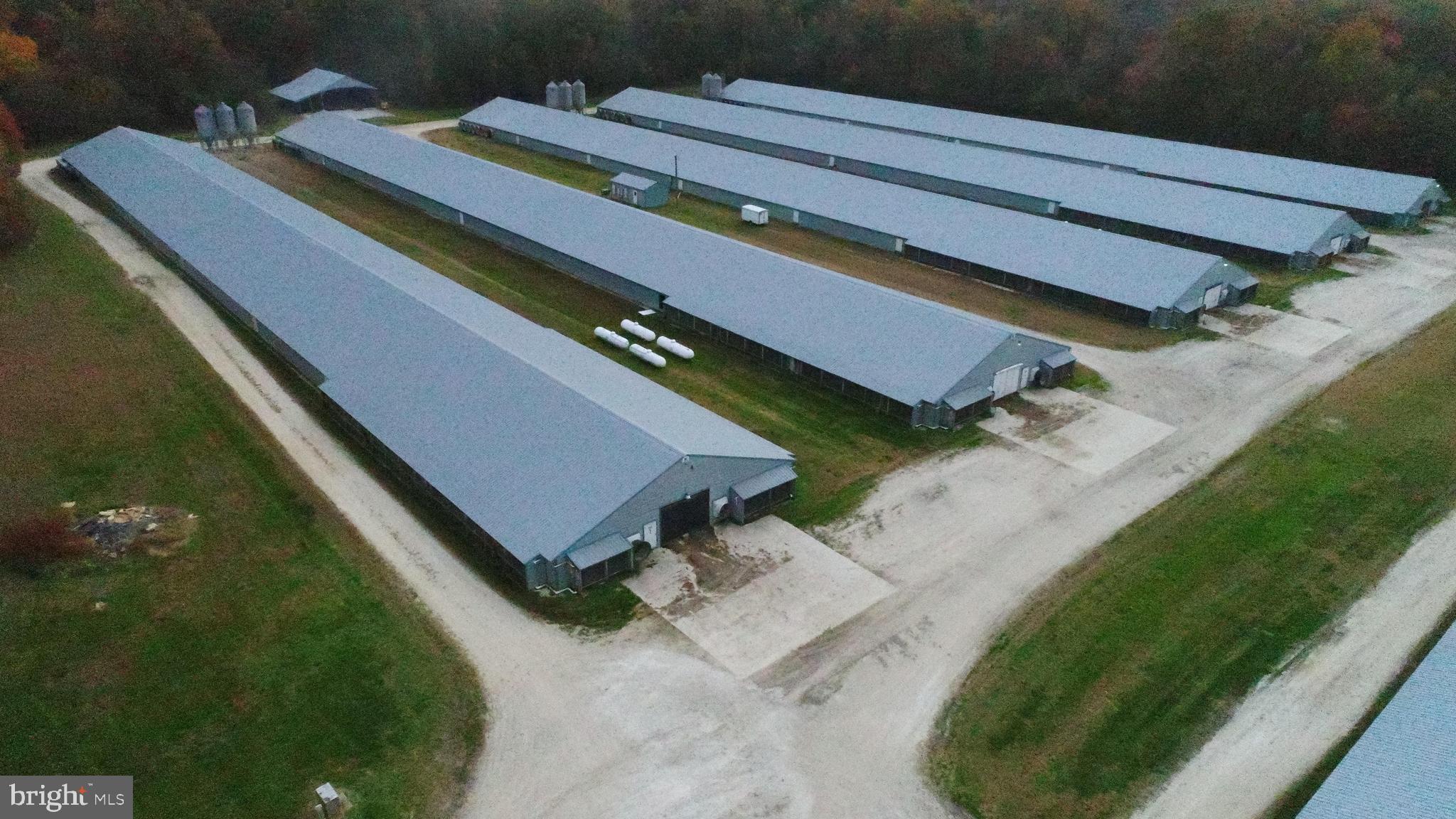 NONE AVAILABLE - Farm