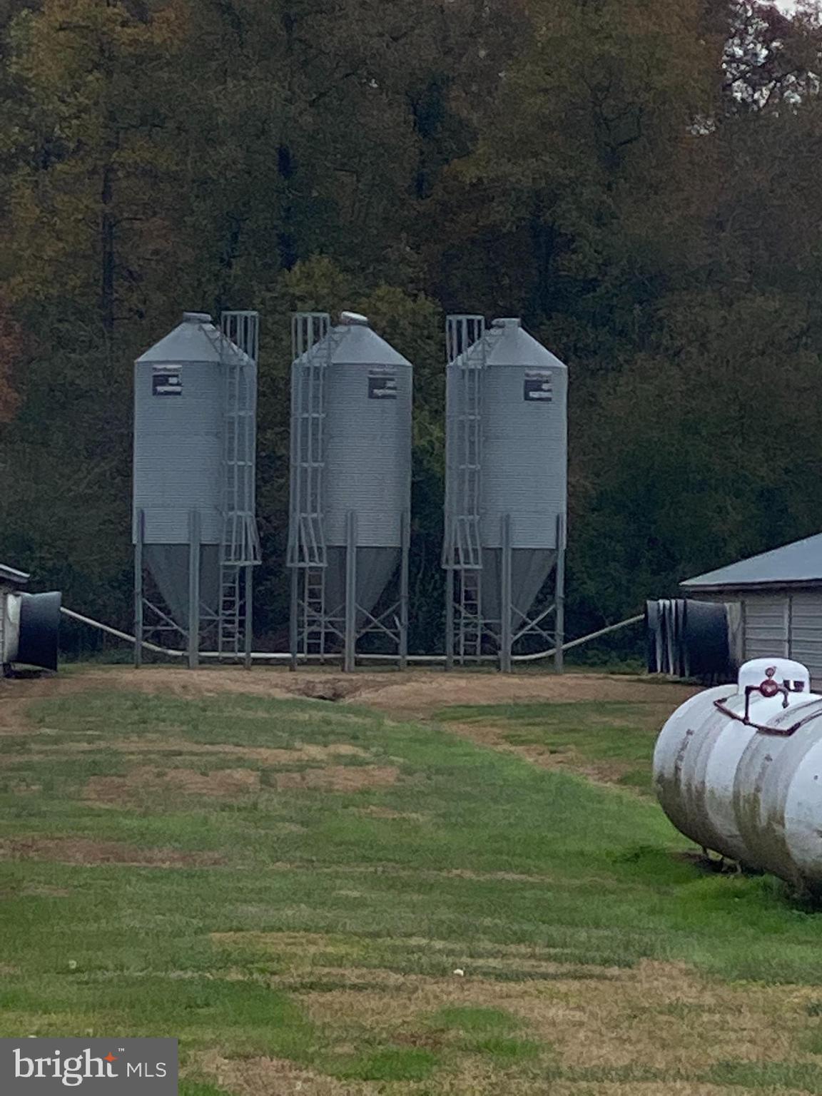 NONE AVAILABLE - Farm