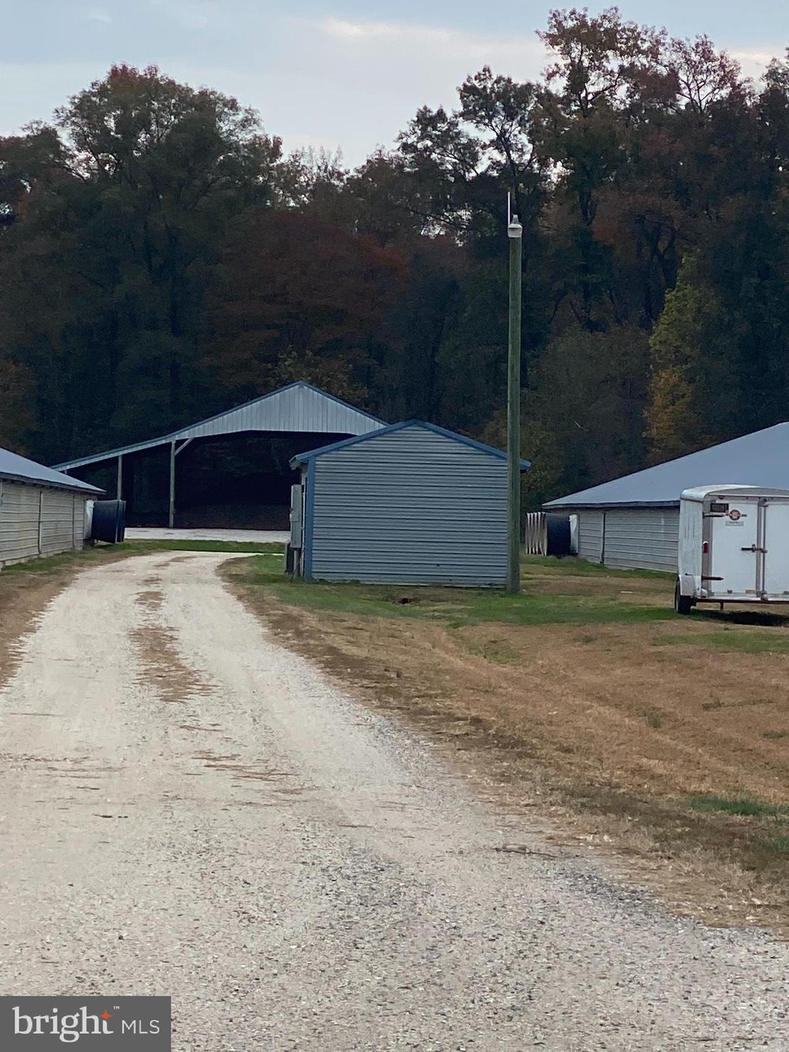 NONE AVAILABLE - Farm