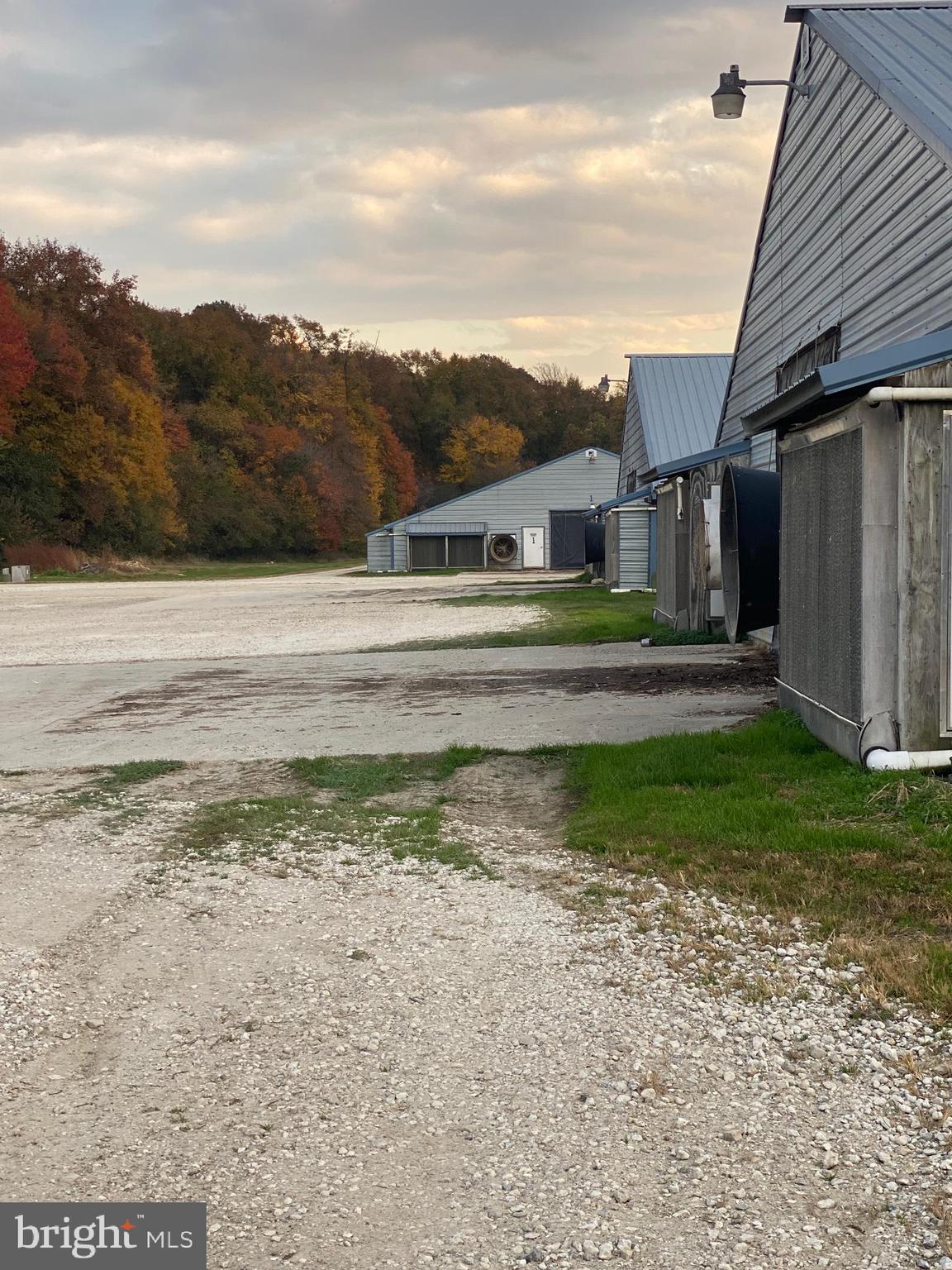 NONE AVAILABLE - Farm