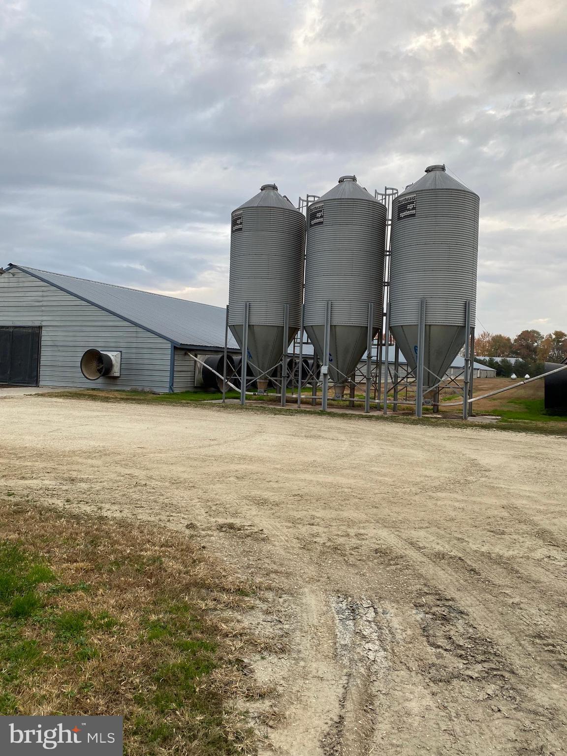 NONE AVAILABLE - Farm