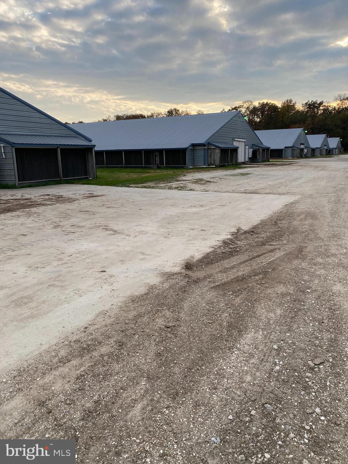 NONE AVAILABLE - Farm