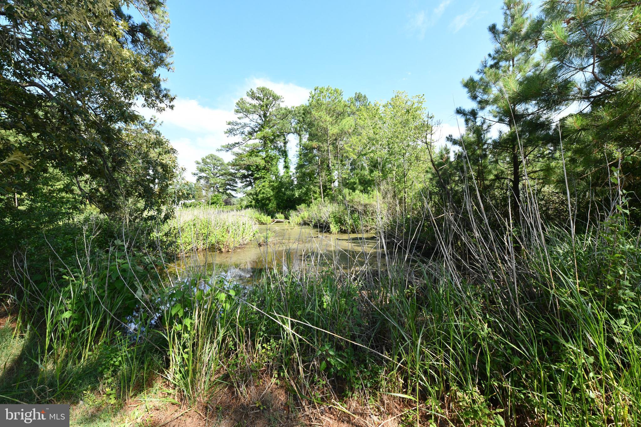 POTOMAC BEACH - Residential Lease