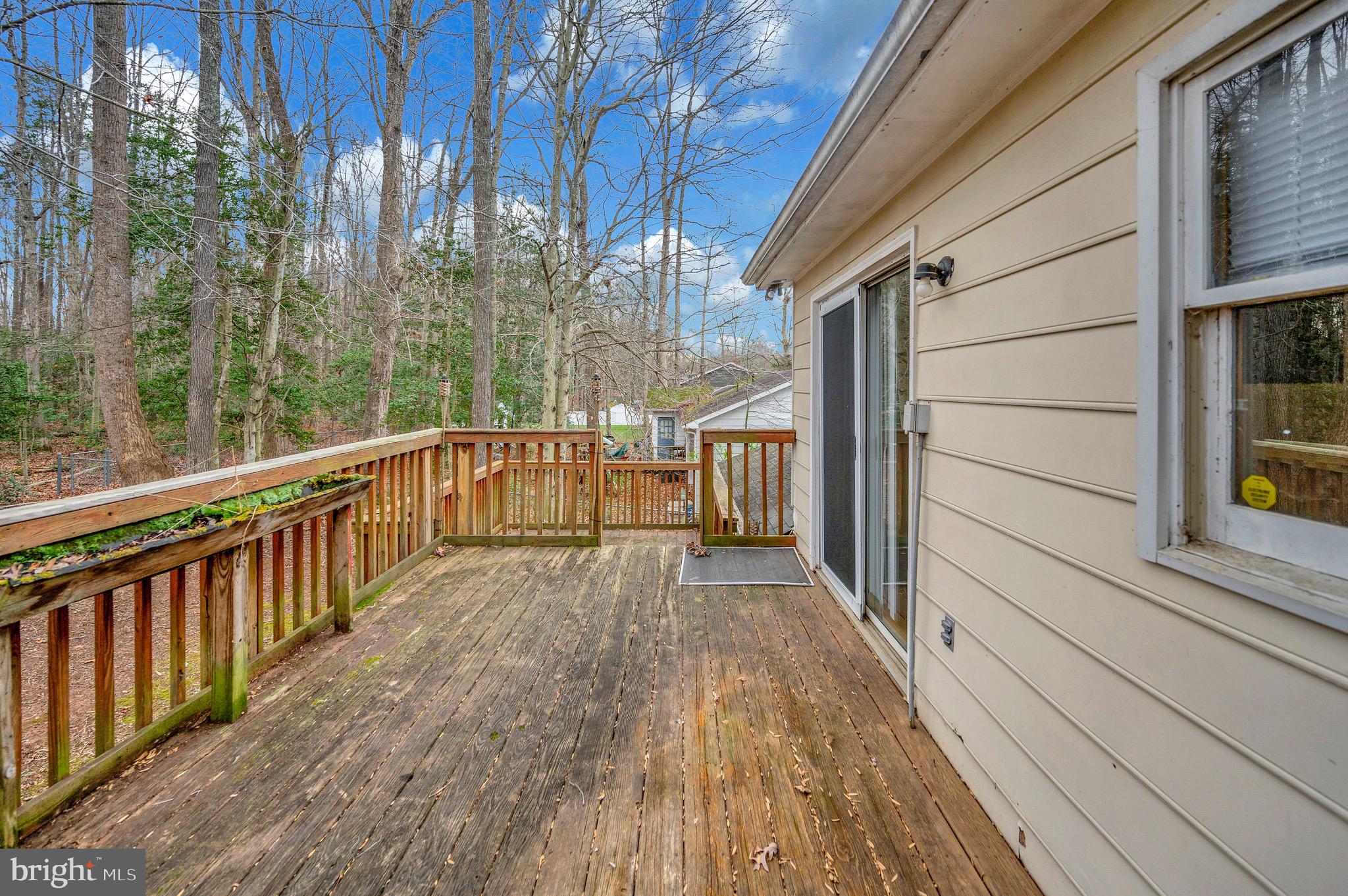 PLANTATION FOREST - Residential Lease