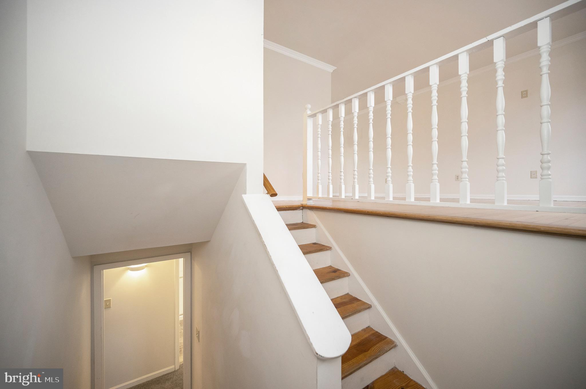 PLANTATION FOREST - Residential Lease