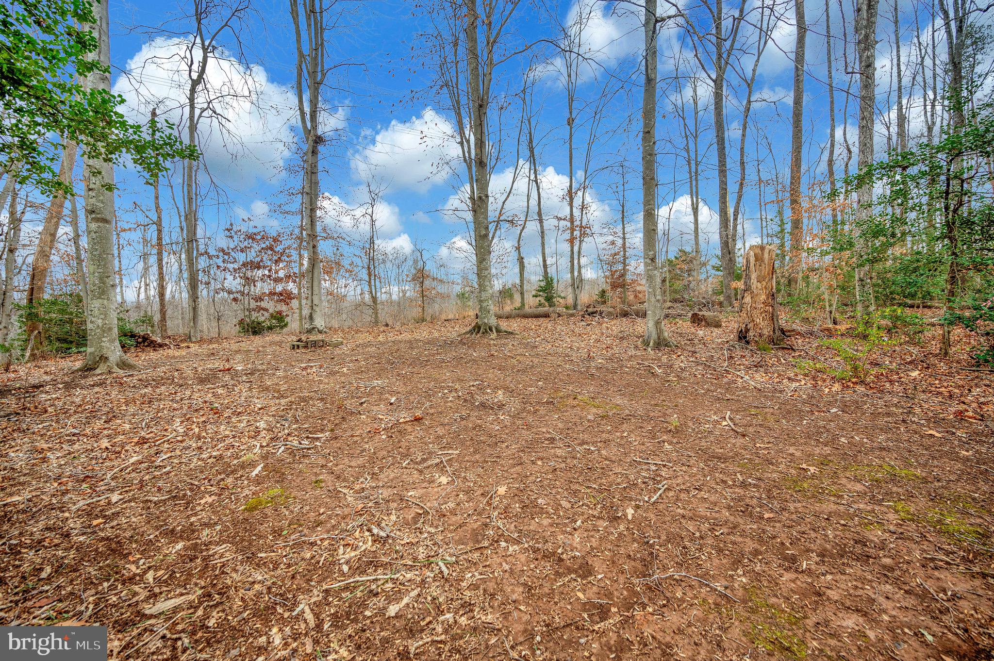 PLANTATION FOREST - Residential Lease