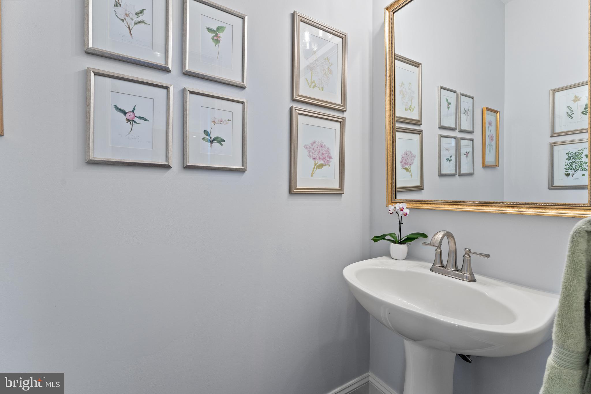 DOWNTOWN FREDERICKSBURG - Residential