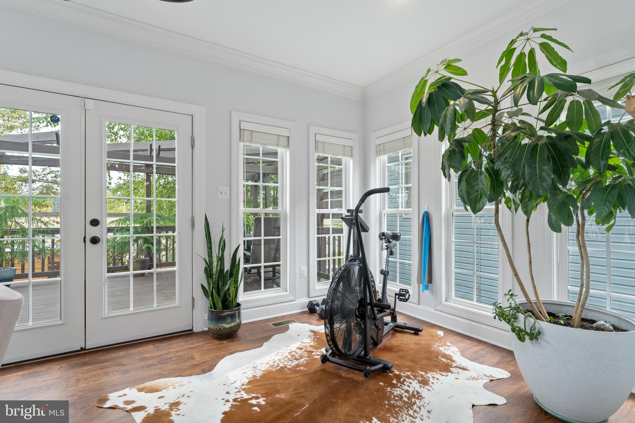 DOWNTOWN FREDERICKSBURG - Residential