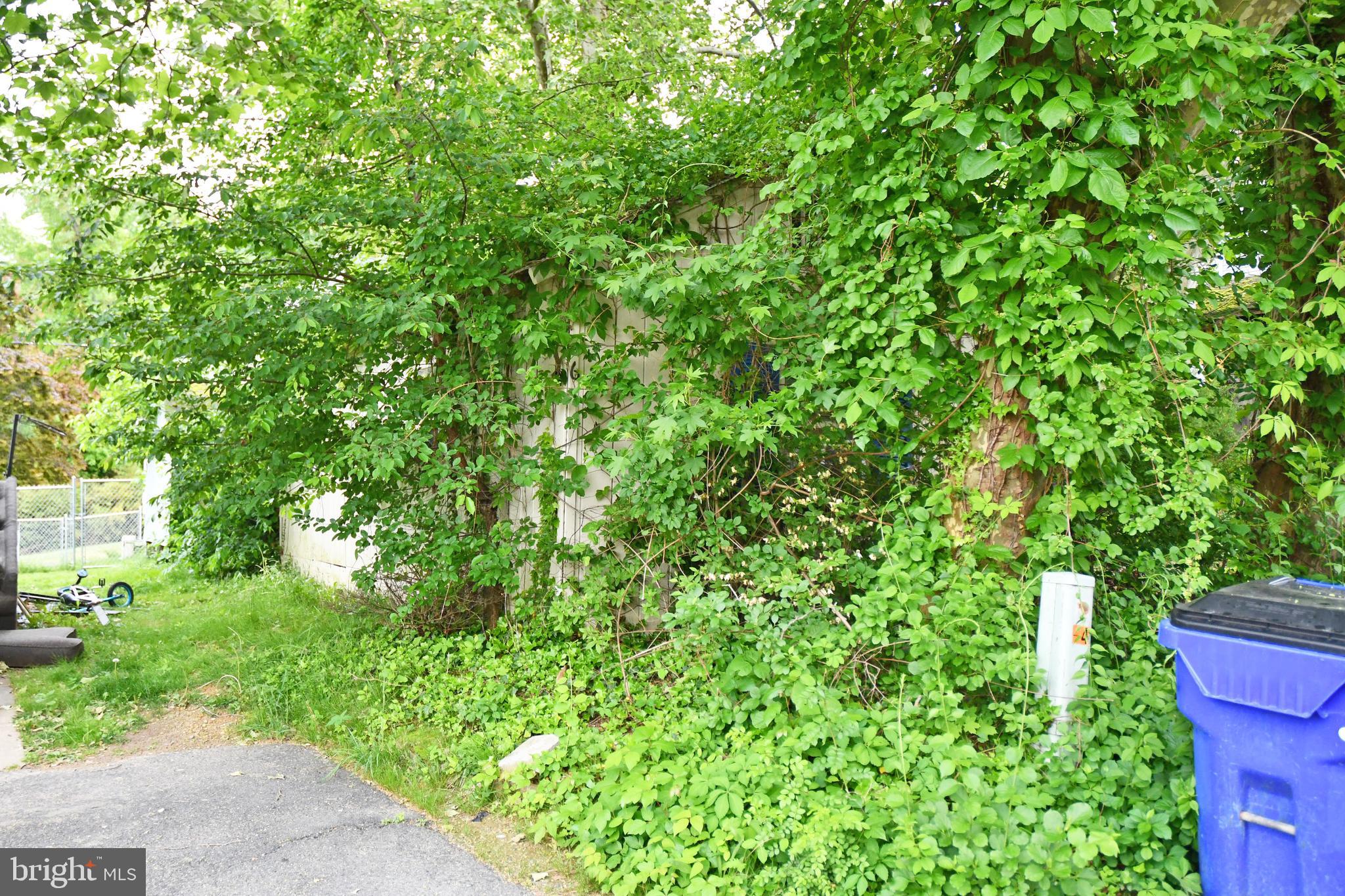 26 NO NAME STREET