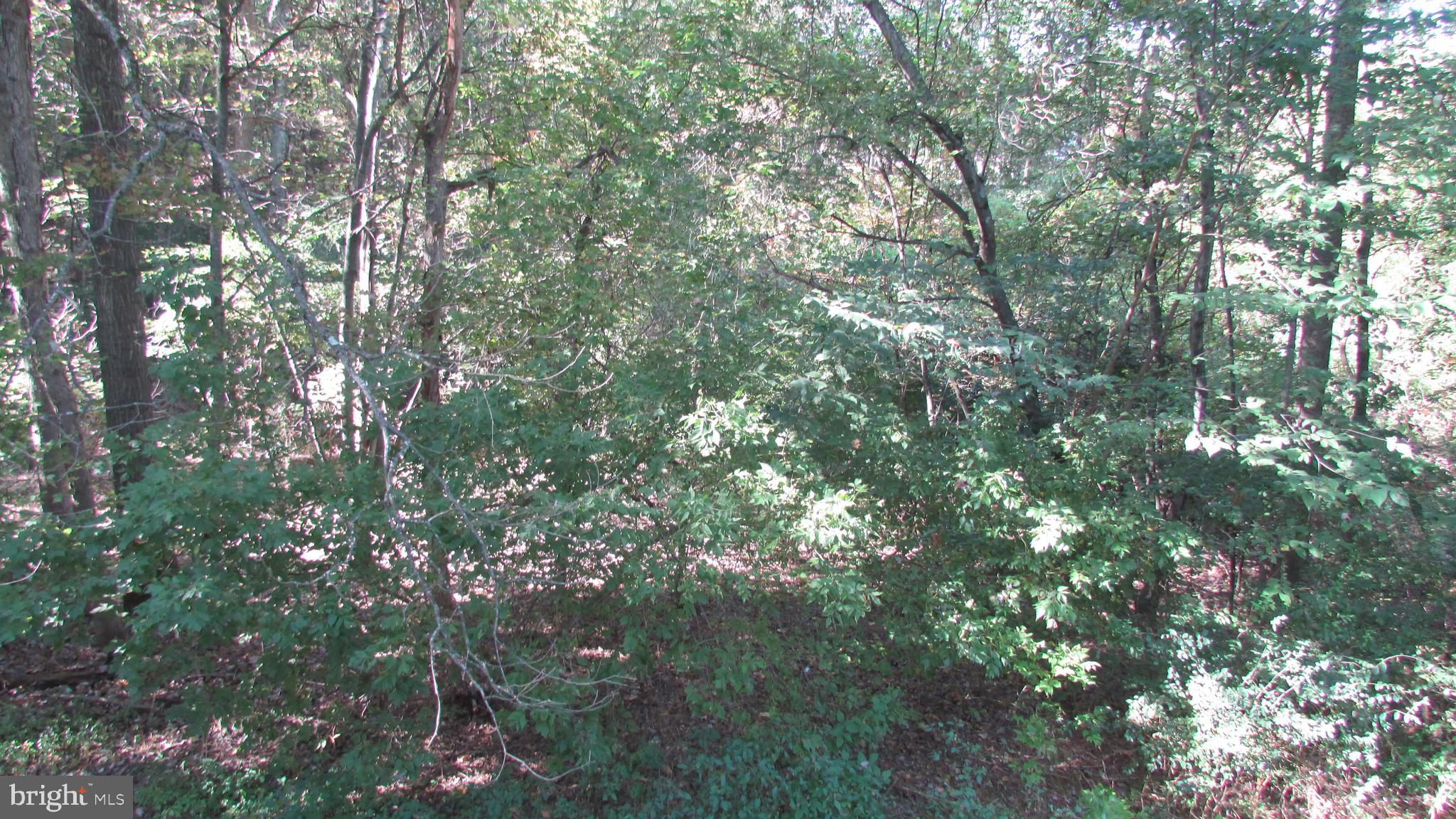 BREEZEWOOD FOREST - Residential