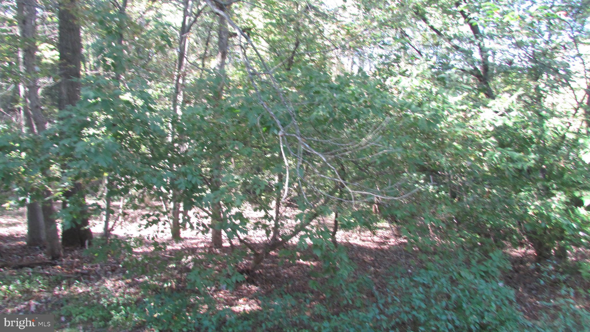 BREEZEWOOD FOREST - Residential