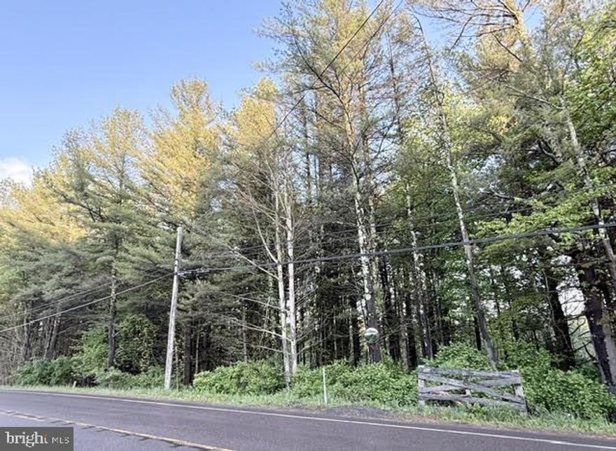 2 acres off Hutton Rd, raw land, endless possibilities. No restrictions, county zoning applies. Manly tree covered.