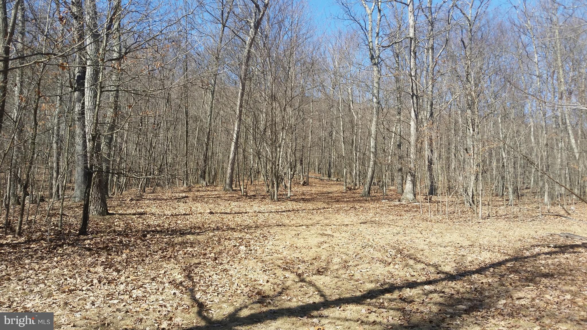 NONE AVAILABLE - Land