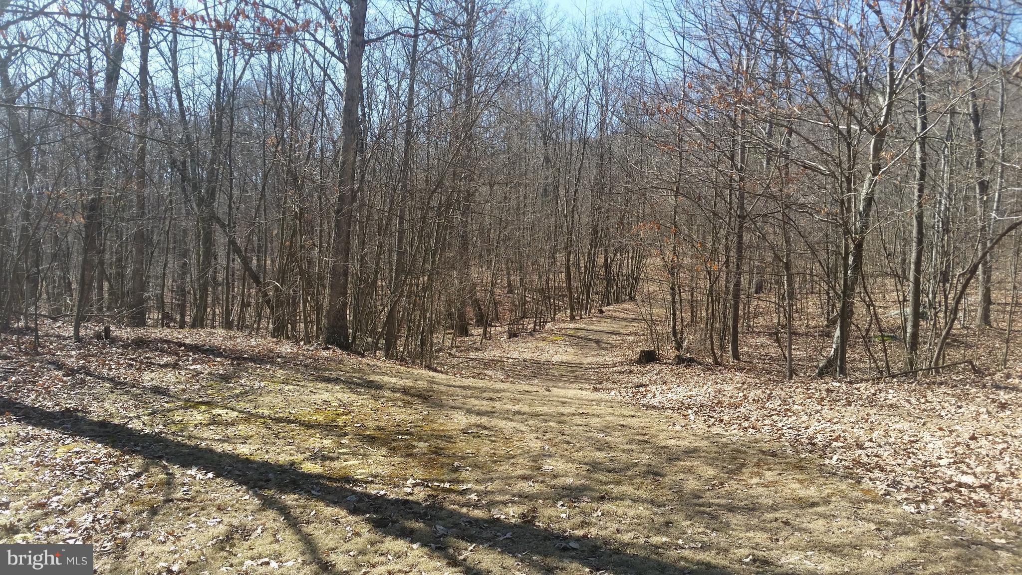 NONE AVAILABLE - Land