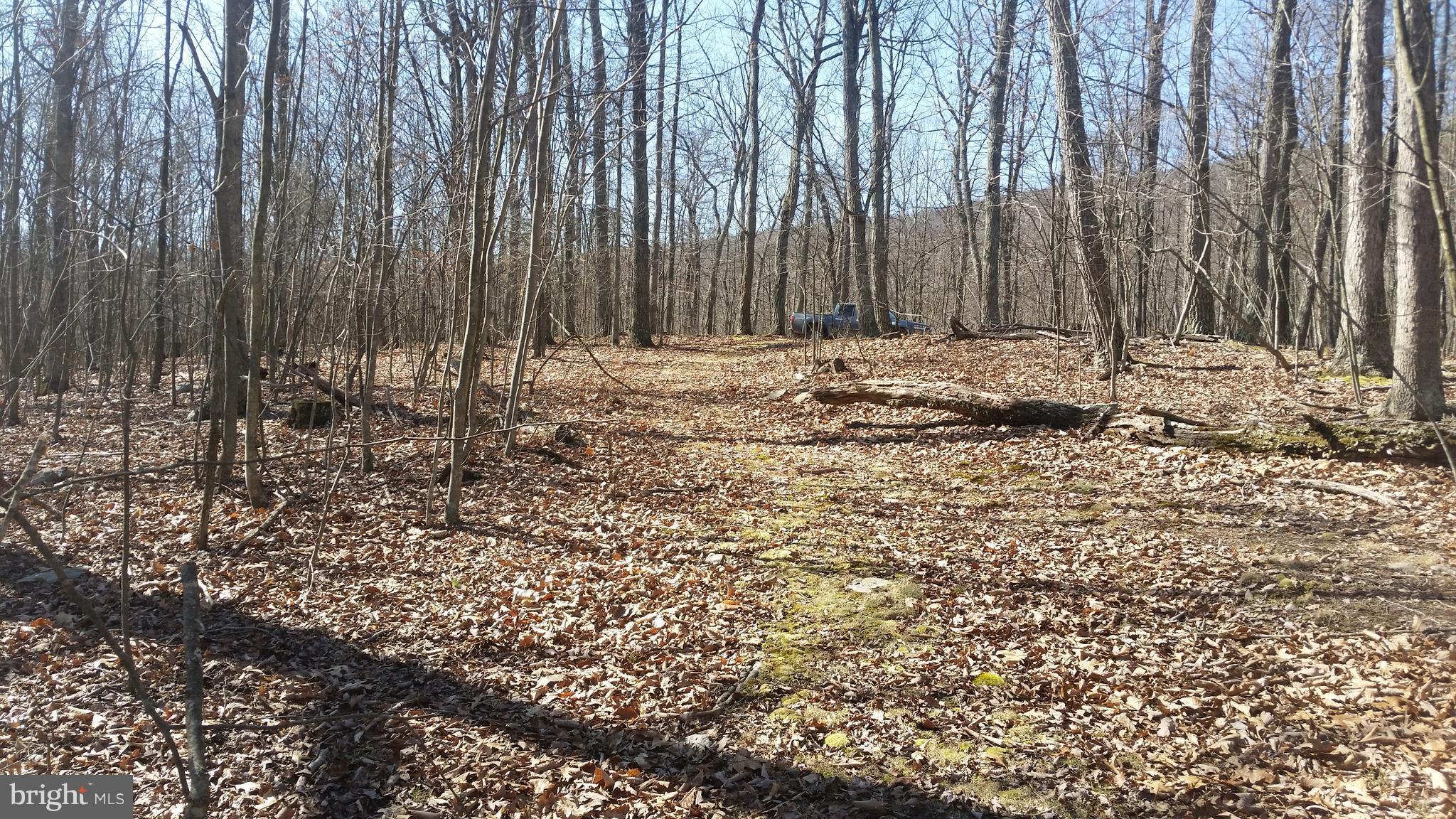 NONE AVAILABLE - Land