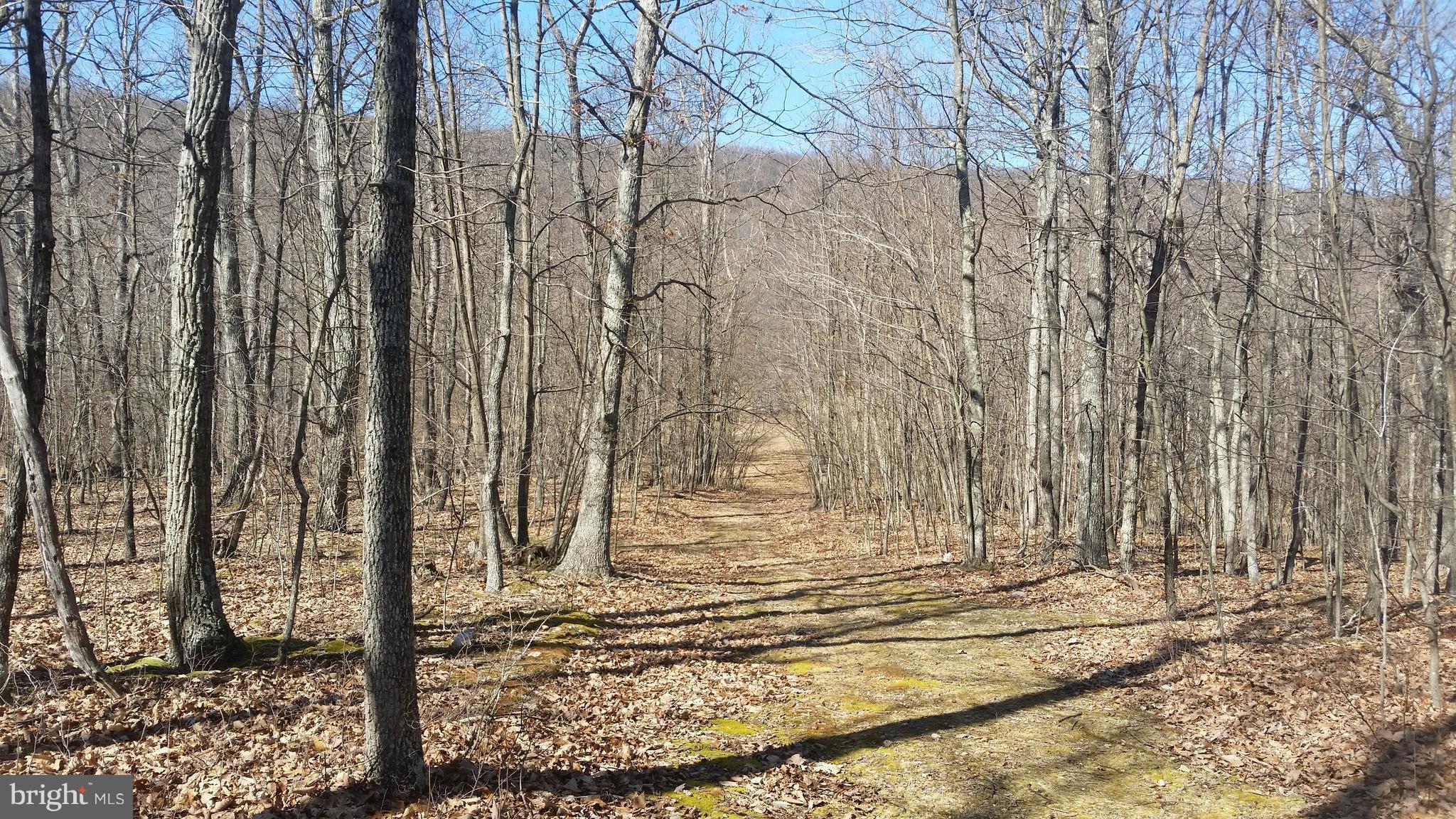 NONE AVAILABLE - Land