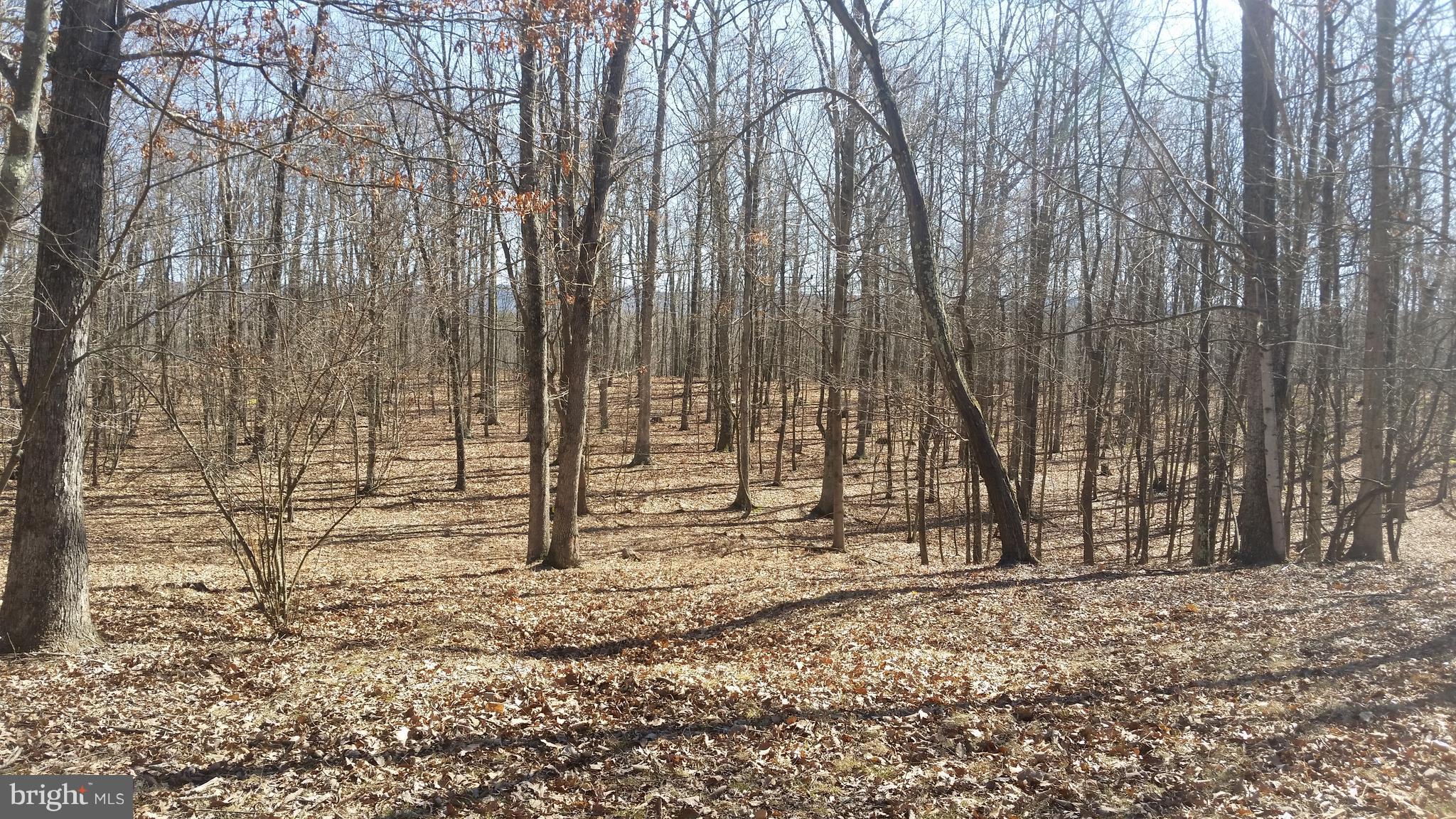 NONE AVAILABLE - Land