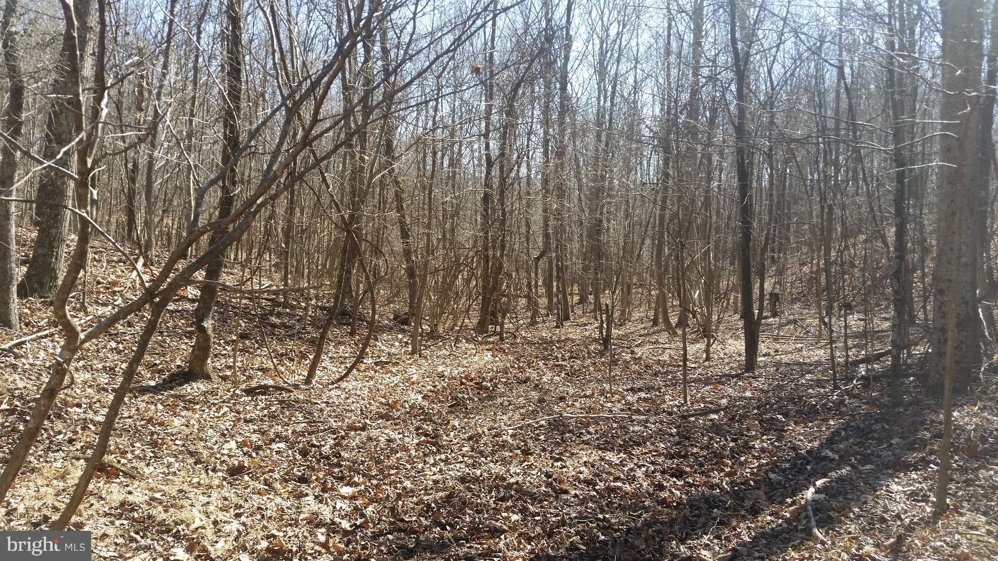 NONE AVAILABLE - Land