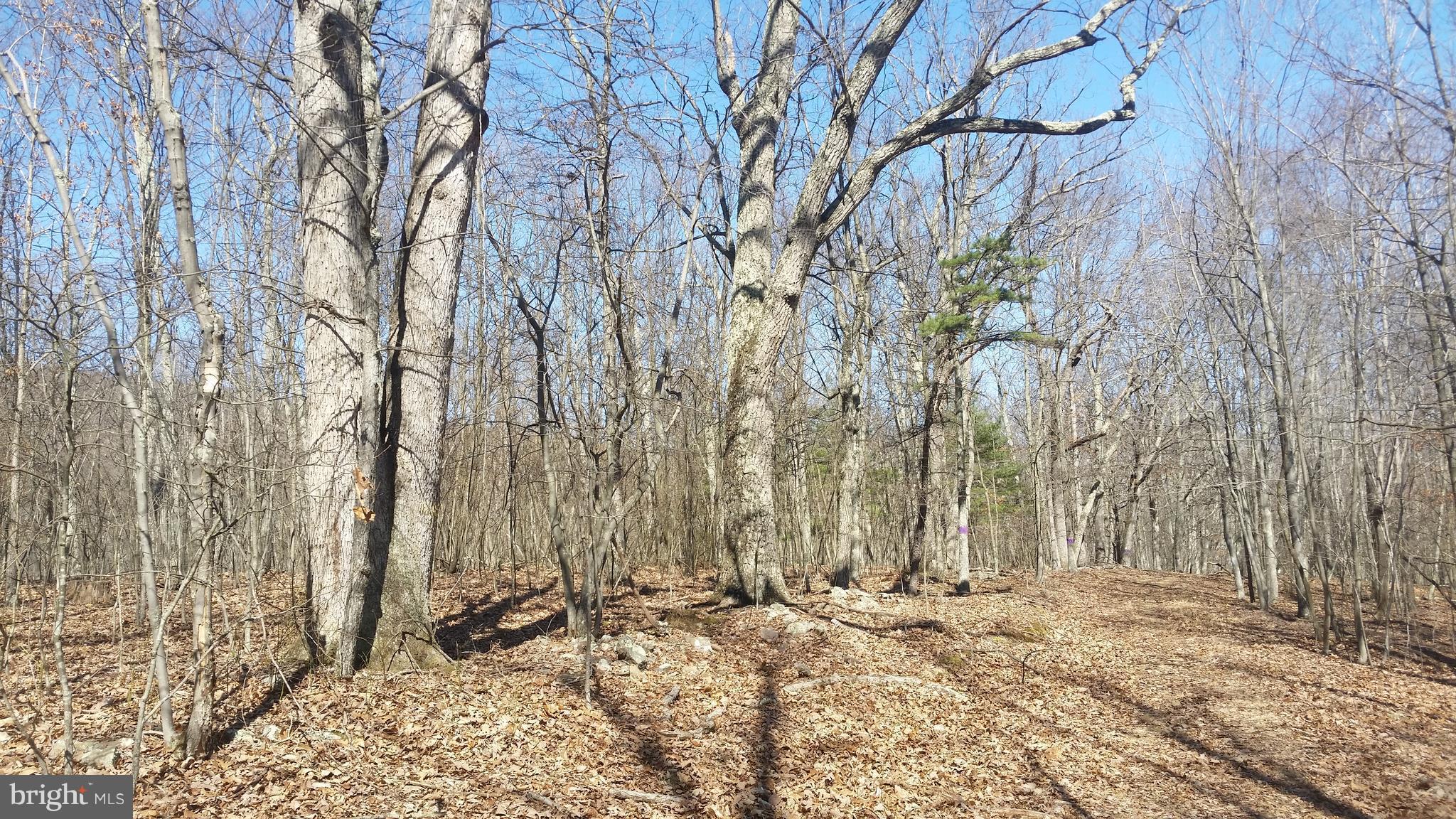 NONE AVAILABLE - Land