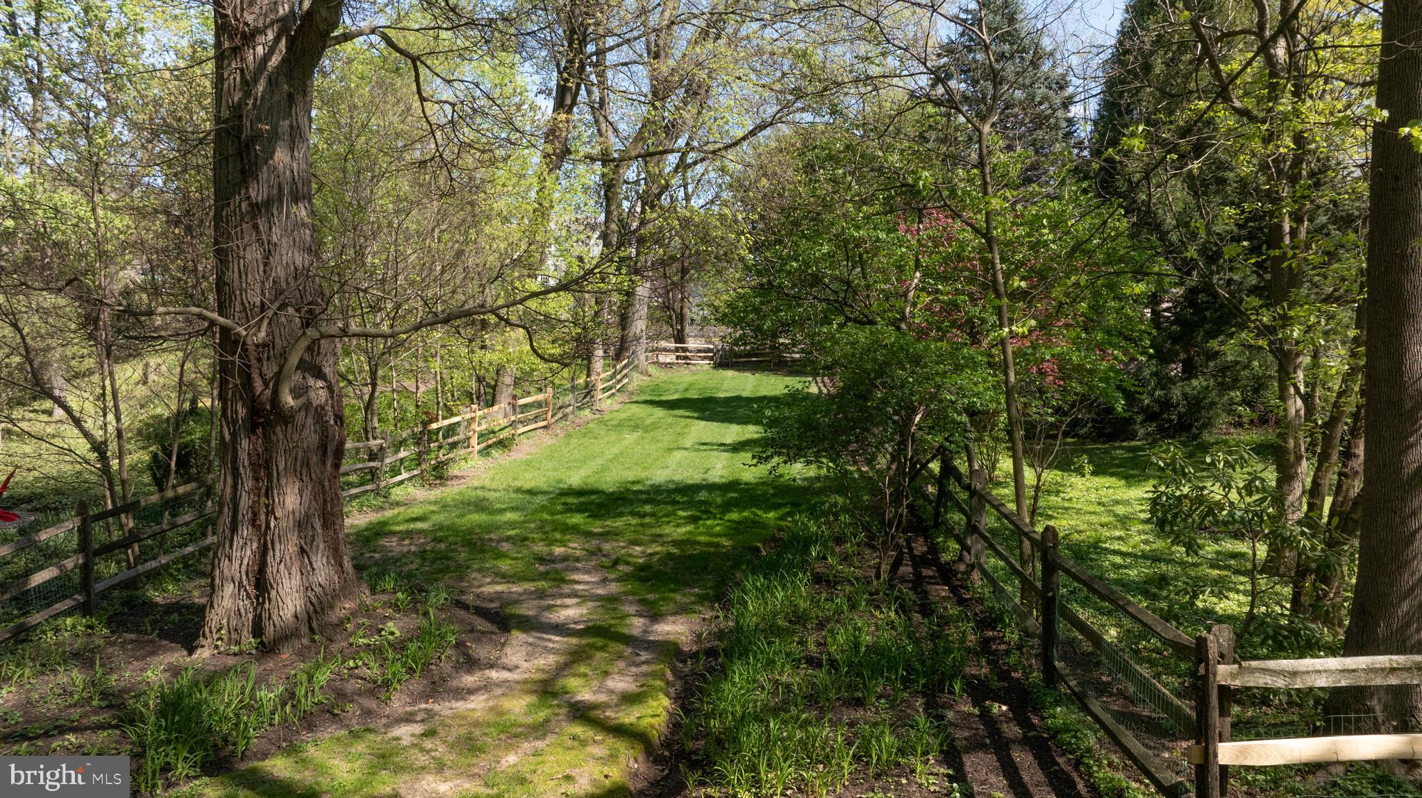 CHESTNUT HILL - Residential