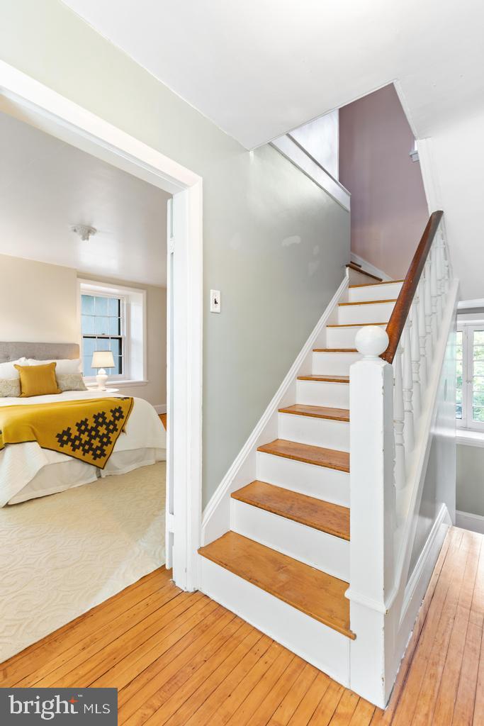 CHESTNUT HILL - Residential