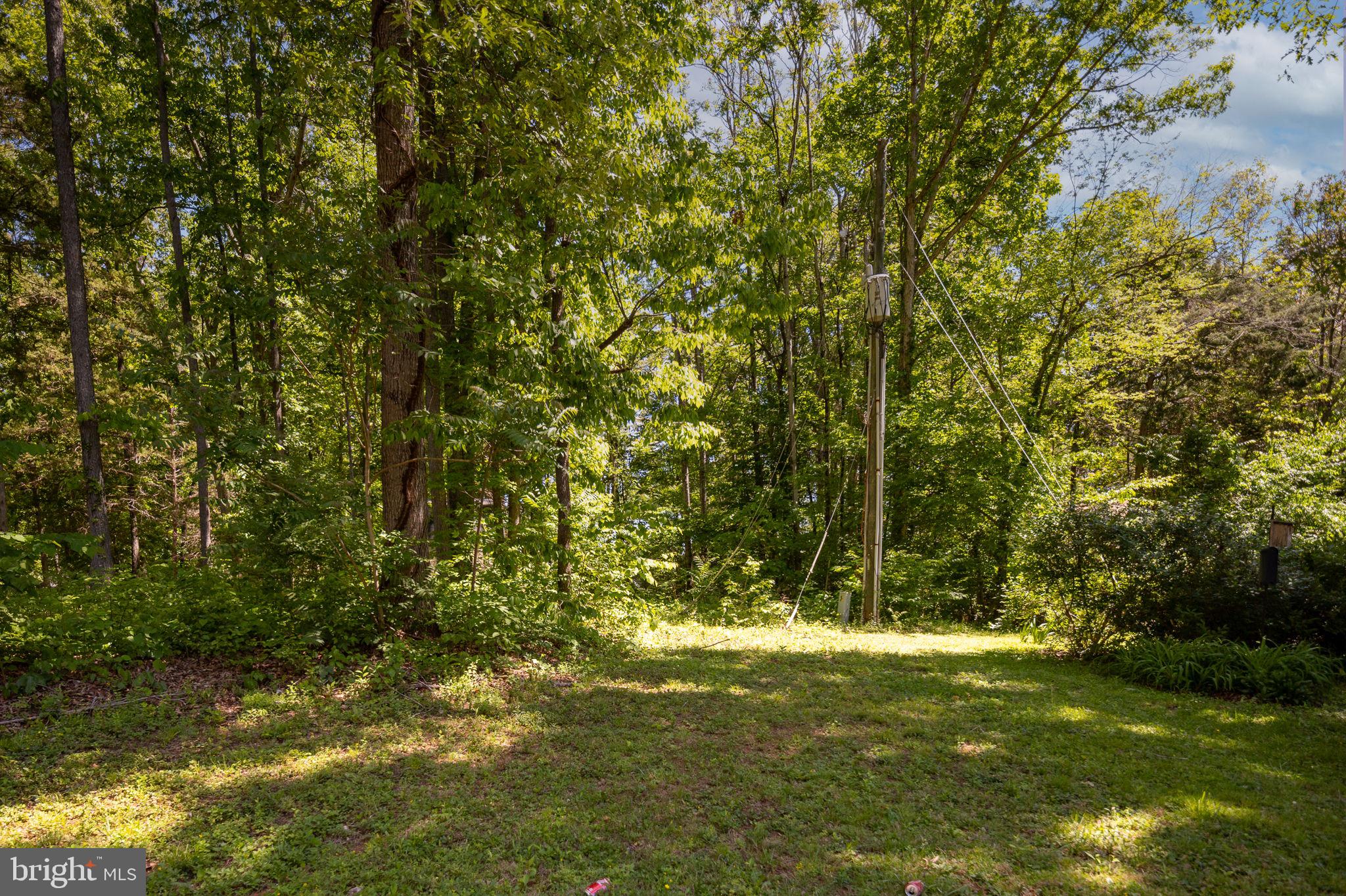 LAKE OF THE WOODS - Residential