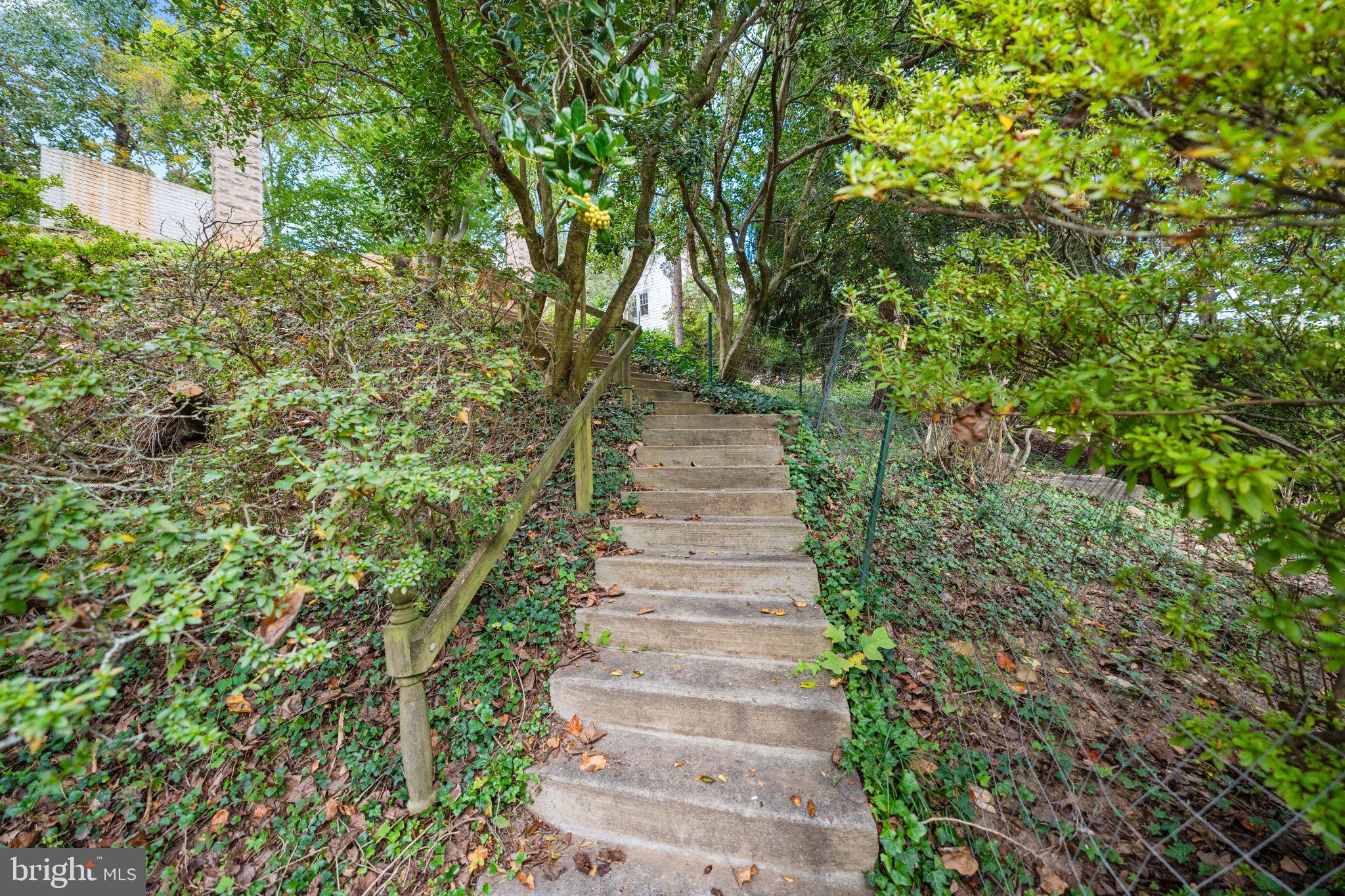 TAKOMA PARK - Residential