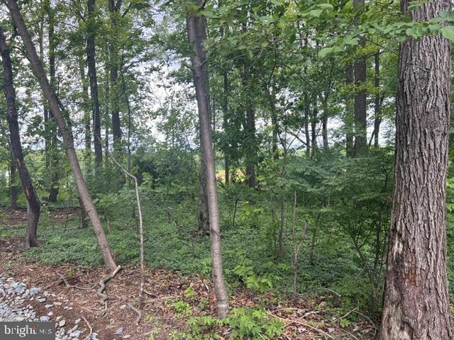 1085 STONEY HILL ROAD