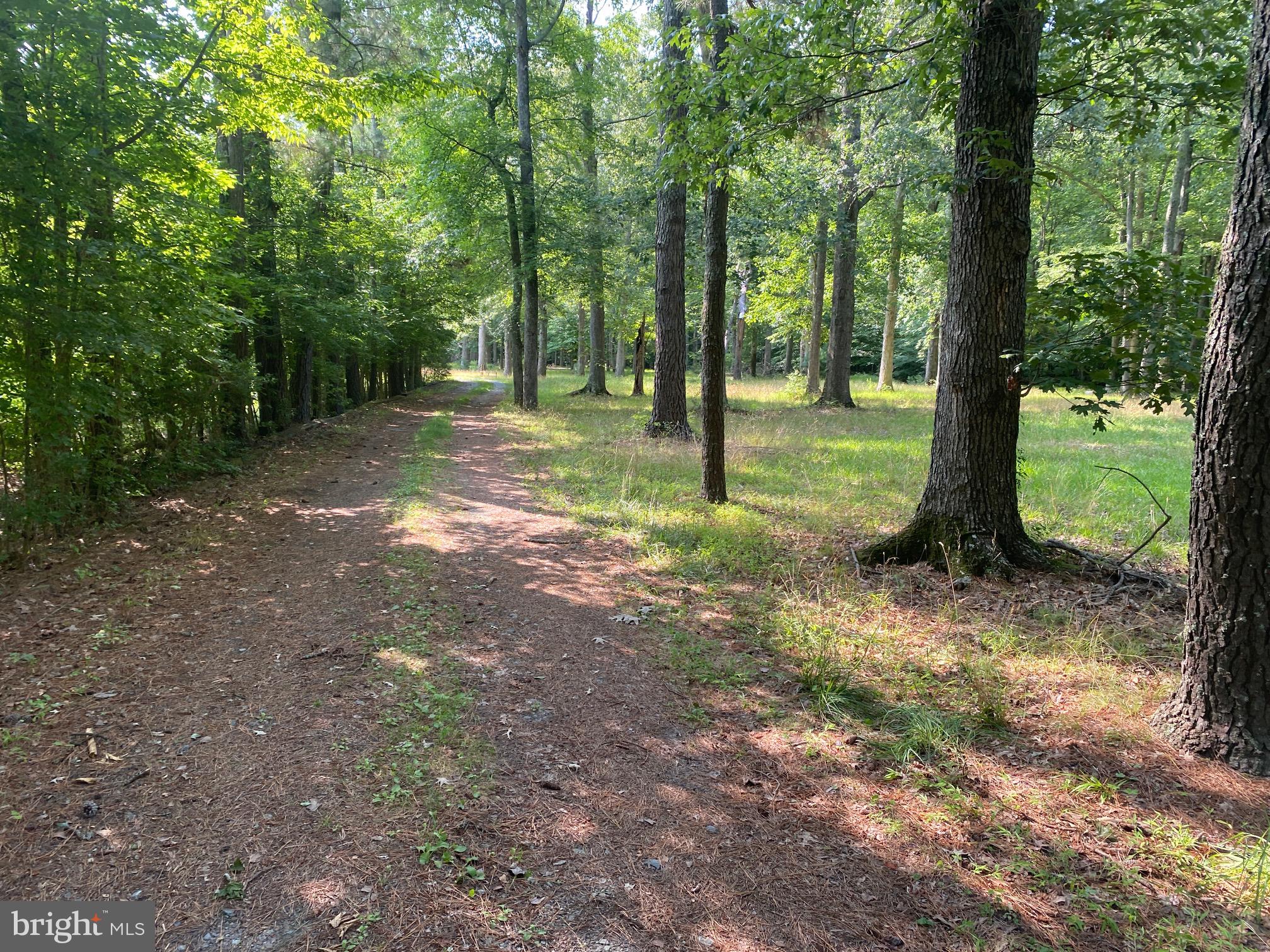 1521 SANDBRIDGE ROAD