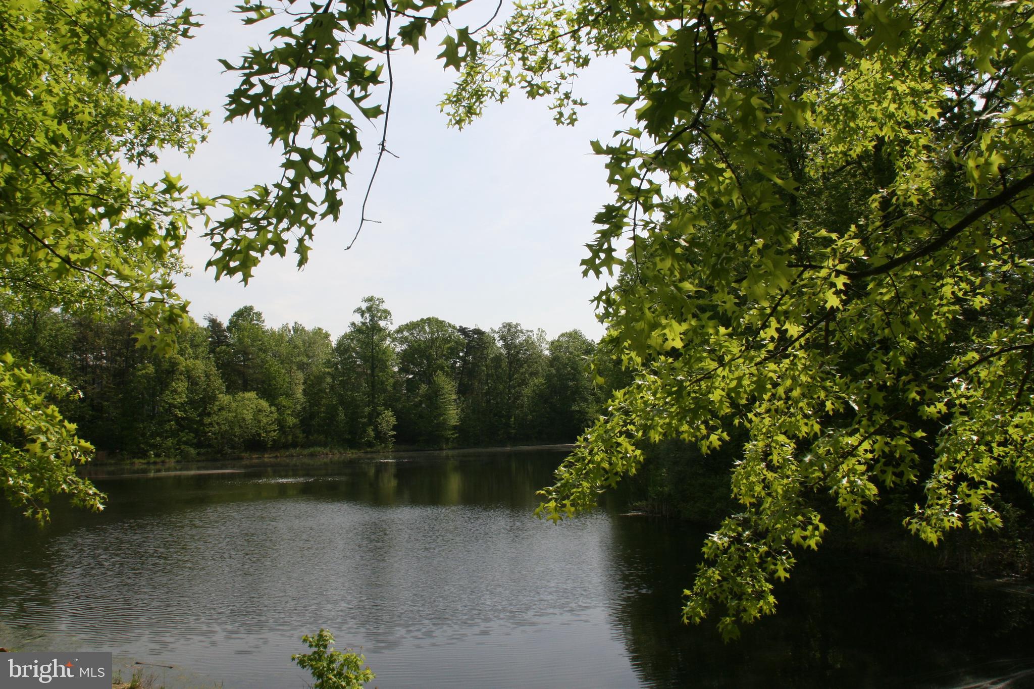 ISLAND CREEK - Residential