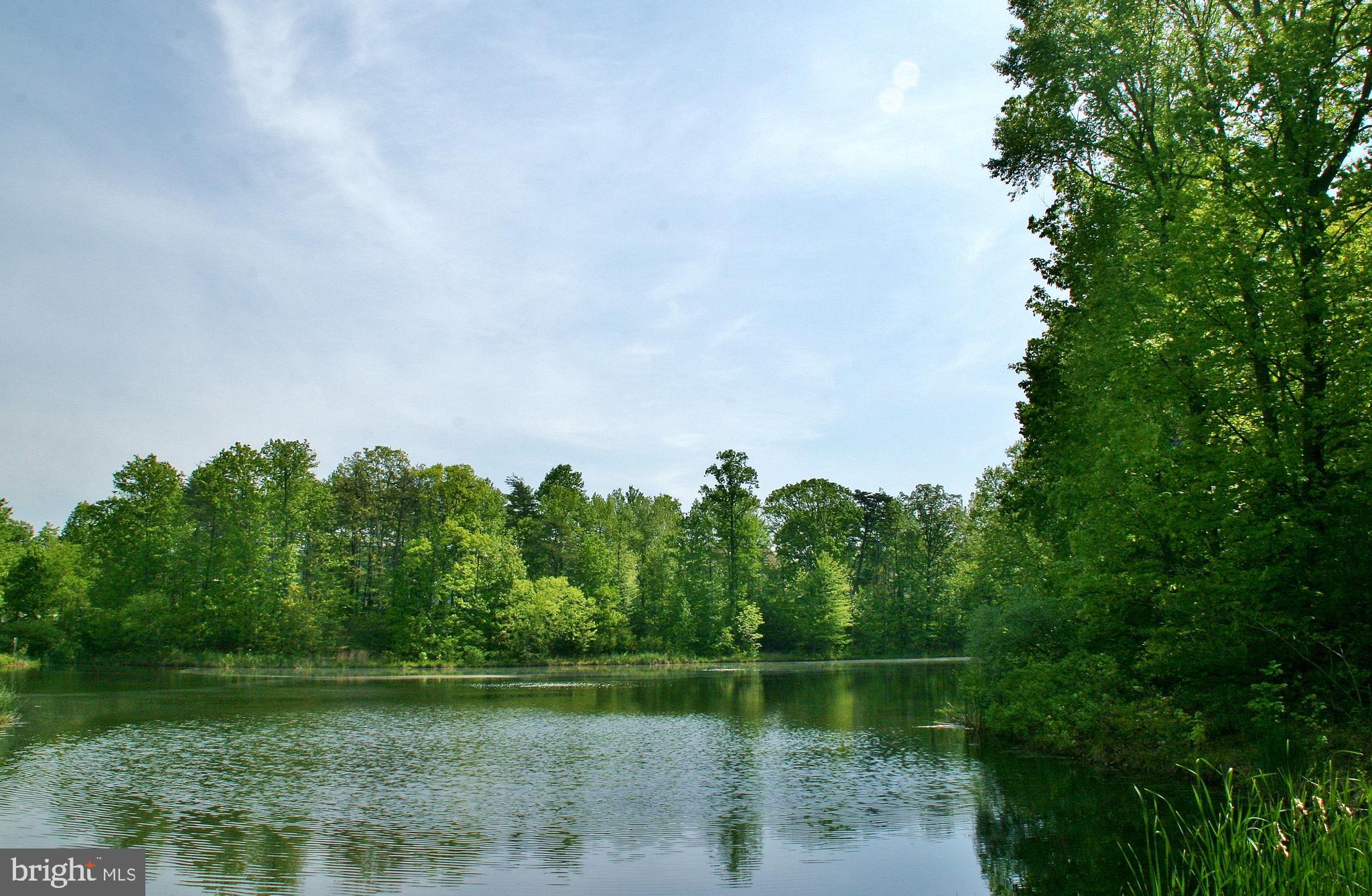 ISLAND CREEK - Residential