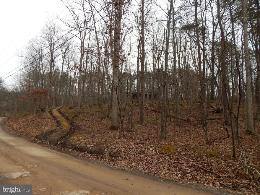 Cabin surrounded by trees located just minutes from downtown Berkeley Springs and Coolfont Resort.   Cabin is studded for 2 BR and 1 BA, Living Room and combo Kitchen/Dining.  Covered front porch and also a back deck.   Cabin needs a new roof and subfloor needs to be replaced but,  with rooms studded, wired and plumbed, it would be a great place to rehab and flip or rehab for your own home or weekend getaway.  Cash or rehab loan only.  Sold AS IS. No HOA fees