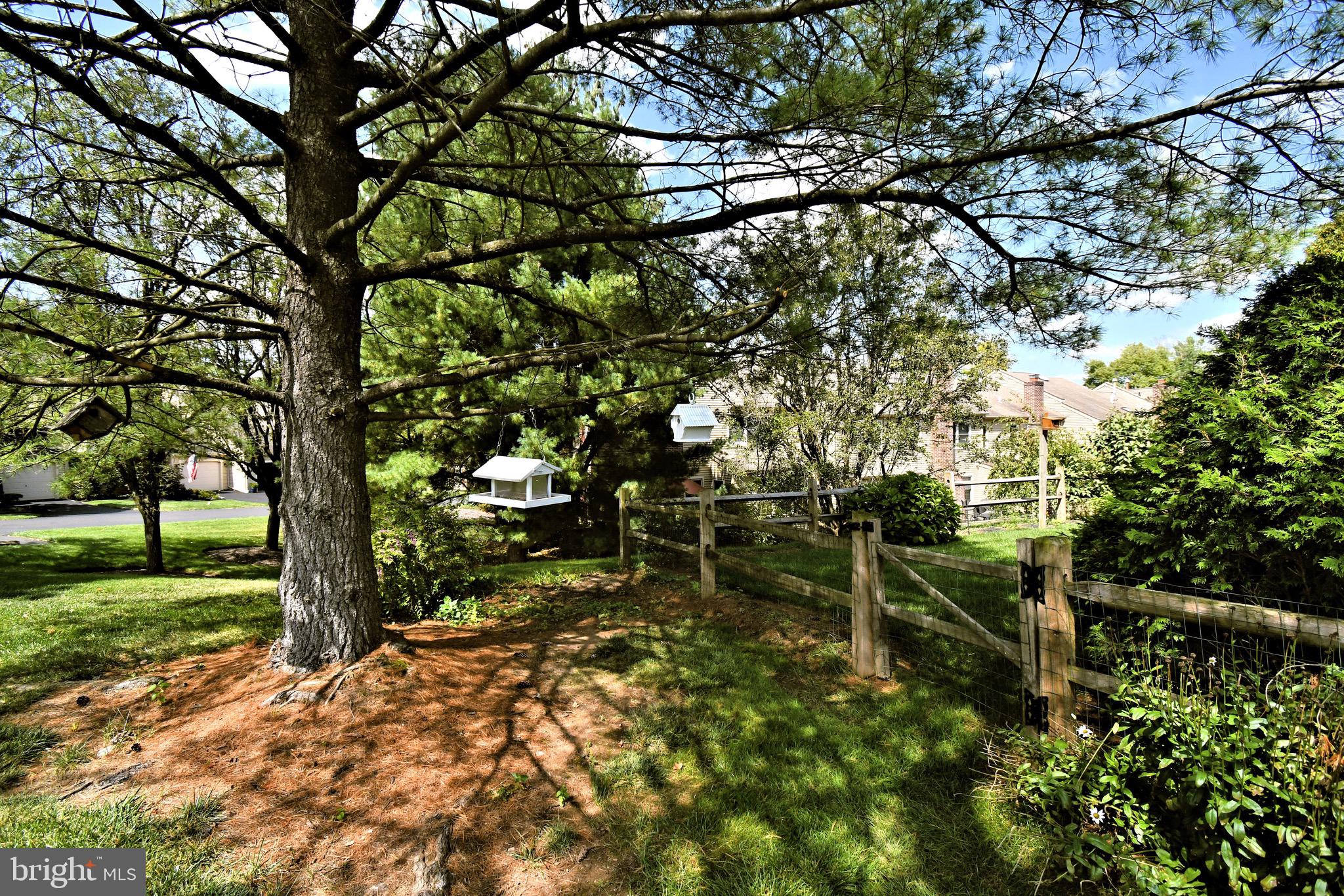 ROCKY MDWS - Residential