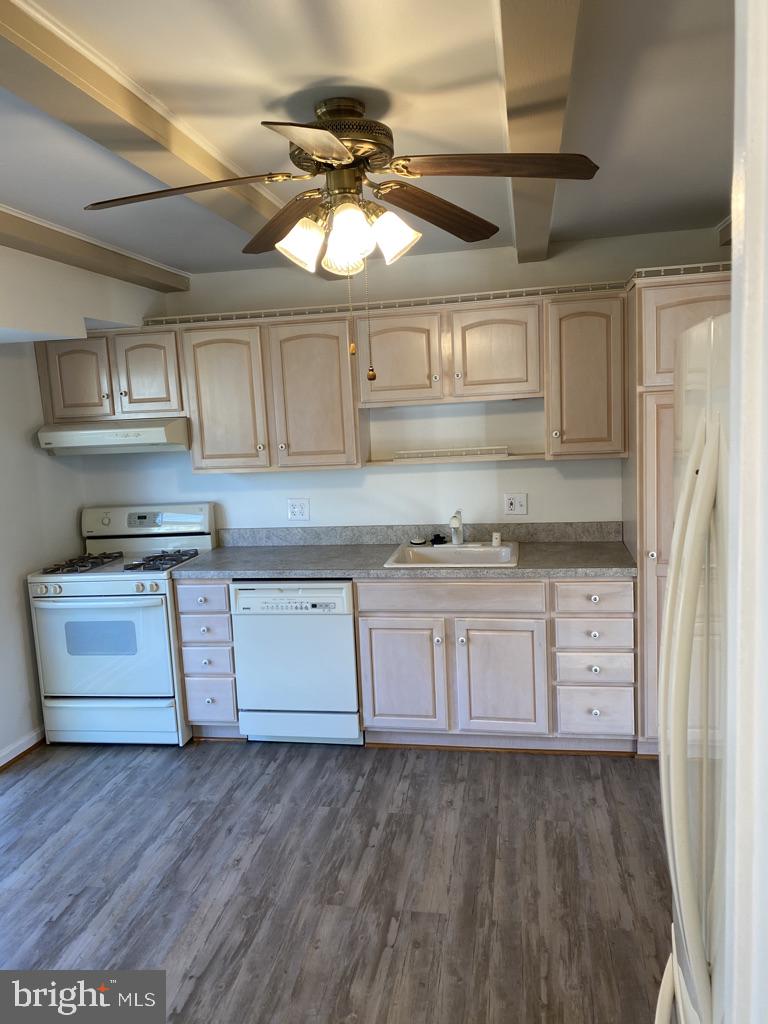 TEMPLE TERRACE - Residential