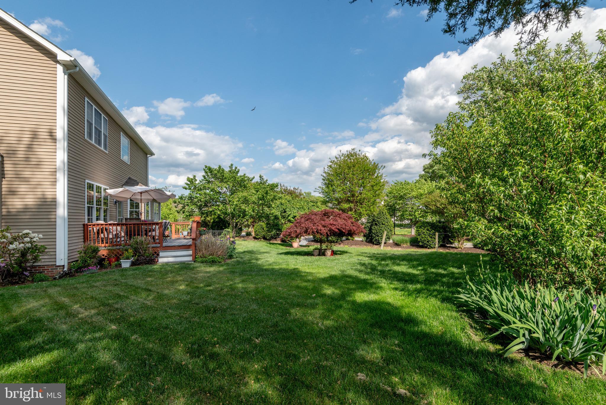 ESTATES AT SINGLETREE - Residential